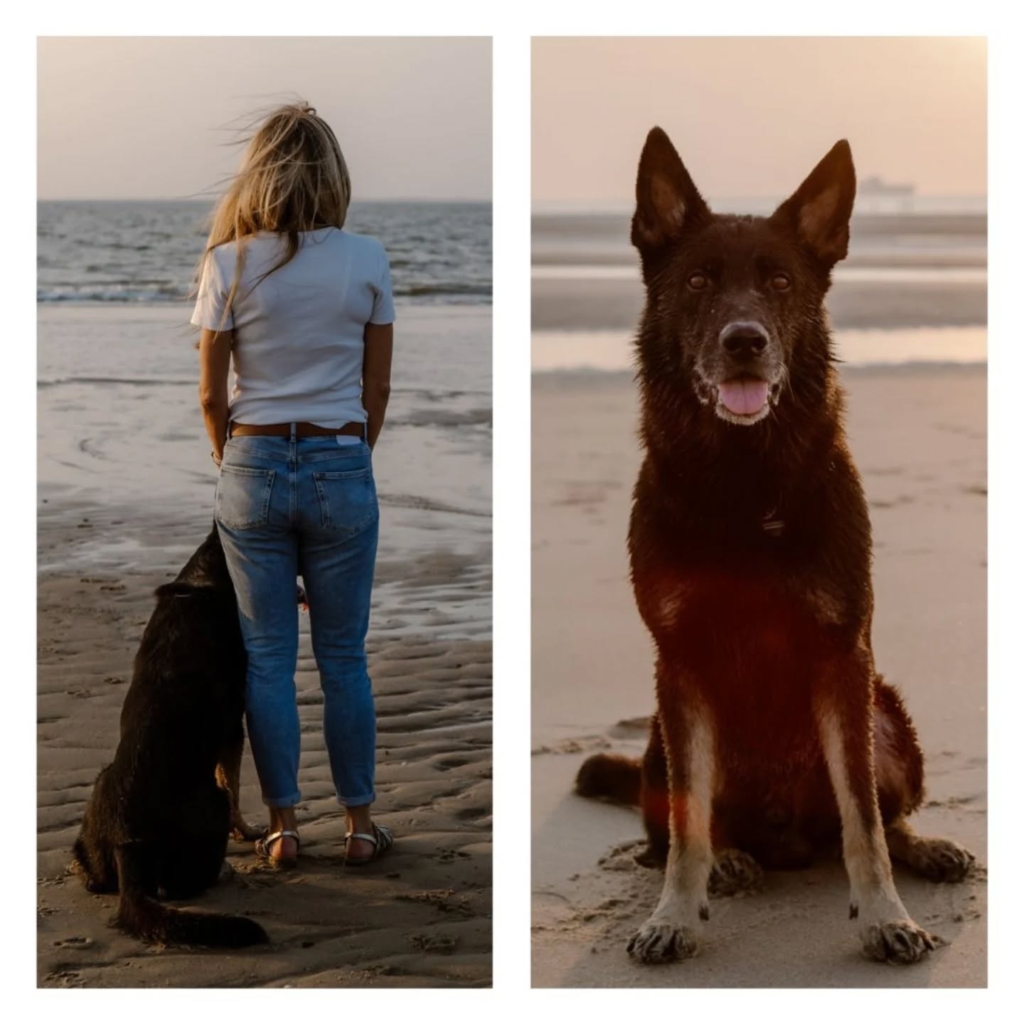 Prachtige shoot in Nieuwvliet-Bad tijdens golden hour!
#fotograafzeeland #selfloveshoot #portret #zeeland