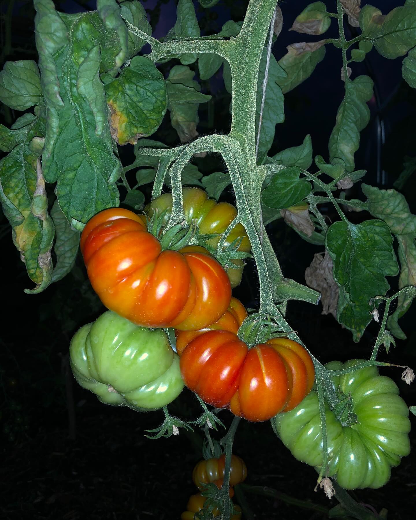 Submissions for the second edition of Glut will open on Friday, June 13th and remain open for a month.
Full submission guidelines, as well as some recent pieces we’ve enjoyed, can be found on our website.