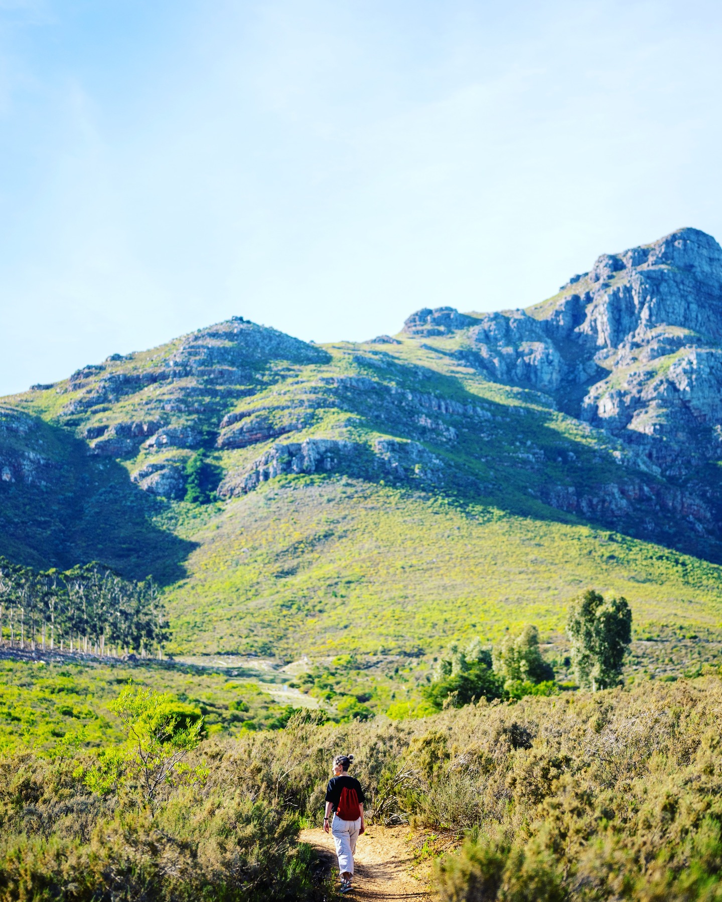 Well-being isn’t a destination ⛩
It’s a journey ✈️ — one that asks for intention, curiosity, and a little courage.
The mountain 🏔 reminds us:
There are many paths, our truths, and flowing rivers, unique answers, to discover along the way.
There’s no one way to feel your best.
Just your way. 💛 Discover your path🌾
#WellnessJourney #DiscoverHealth #MindBodySoul #KeepGoing #IntentionalLiving #ExploreWithin