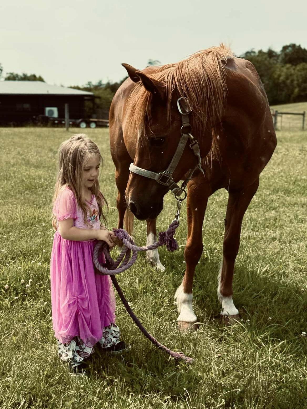 Happiness is… getting a photo of a Nalani rescue living her best life.
Remember sweet little Winnie? Liz and I pulled her from New Holland back in 2022. Look at her now…loving life with her own little girl. 🐴💞 #RescuePony
#HorseRescue #RescueHorse #HappyPony