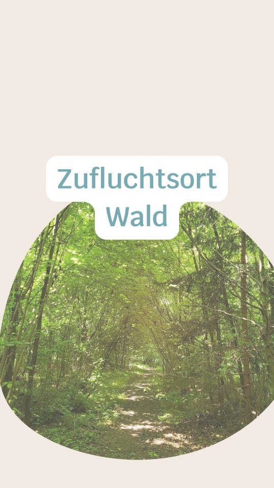 Ich bin so unglaublich dankbar, einen Wald in meiner Nähe zu haben, der immer mehr zu meinem Zufluchtsort und Ort der Ruhe und Entspannung ist. Gerade für hochsensible Wesen ist die Natur unglaublich wichtig, um Reize verarbeiten und das Nervensystem entspannen zu können.
Ich bin aber auch besorgt und verunsichert wegen der Art, wie wir Menschen mit unsere Welt umgehen, so als hätten wir noch eine Ersatzwelt.
Lasst uns gemeinsam dafür sorgen, dass sich der Zustand unserer Welt wieder verbessert. Lasst uns achtsam umgehen mit unserer Welt, unseren Mitmenschen und uns selbst. Für uns und unsere Nachkommen.
Herzlich, Jacky 🦋
#hochsensibilität #hochsensibel #hochsensible #sensibel #hspcoach #hochsensitiv #hspcoaching #hochsensibelglücklich #feingesinnt #coaching #beratung #seelenweg #leichtigkeit #innereruhe #lebensfreude #energie # #balance #erfolg #selbstbestimmung #selbstliebestärken #selbstreflexion #mentalegesundheit #psychologischeberatung #resilienz #ressourcen #selbstfindung #überreizung #nervensystem #wald #naturschutz
COACHING
BERATUNG
HOCHSENSIBILITÄT
EMOTIONSREGULATION
STRESSREGULATION
ABGRENZUNG
POTENTIAL
SELBSTVERTRAUEN
MINDSET