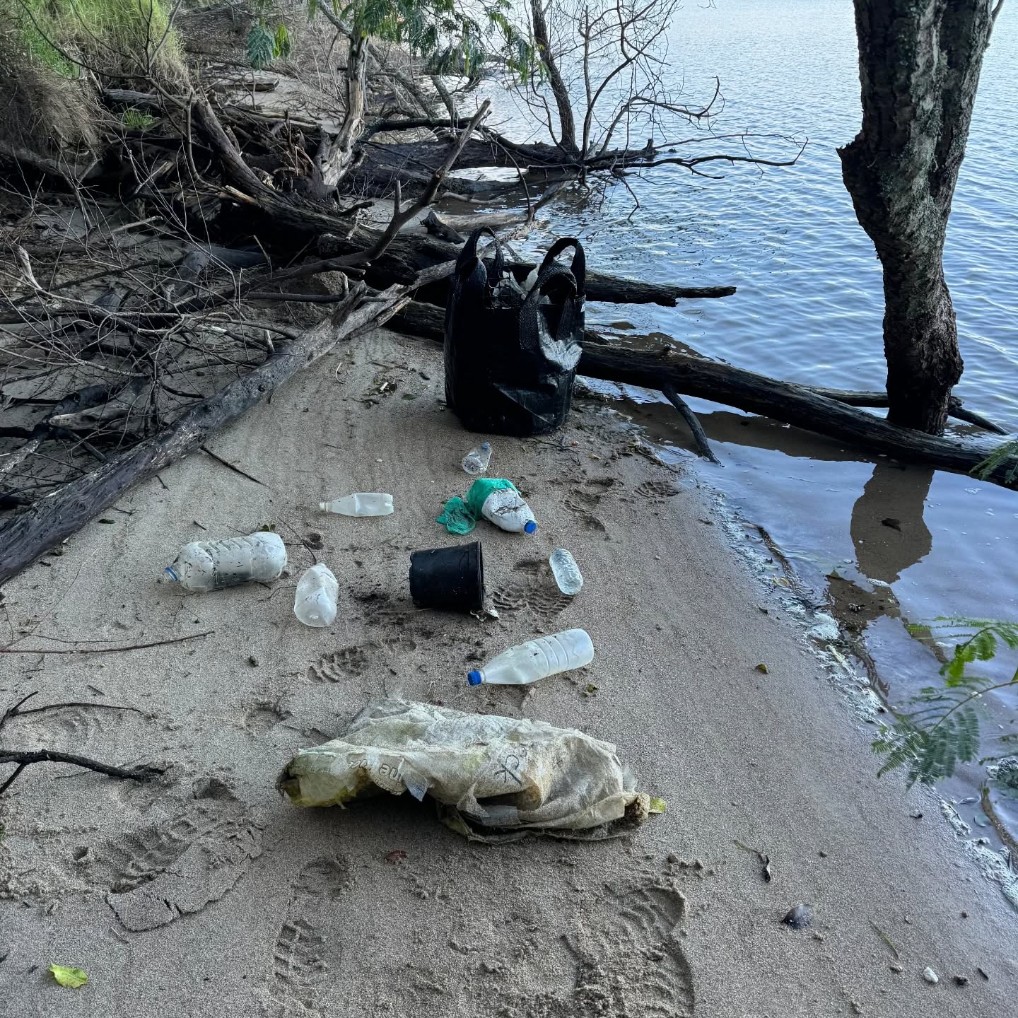 Plastic waste is a major problem: plastic takes centuries to break down, and large quantities continue to be produced. For example, in 2018, Aotearoa imported 575,000 tonnes of plastic material (PMCSA, 2019).
Fact source: https://environment.govt.nz/publications/our-marine-environment-2022/#:~:text=Different%20types%20of%20human%2Dmade,(Stats%20NZ%2C%202022).
Photo: Outflow Trust
#tauranga #bayofplentyregionalcouncil #taurangacitycouncil #acornfoundation #tectnz #outflow #departmentofconservation #westernbaycommunity