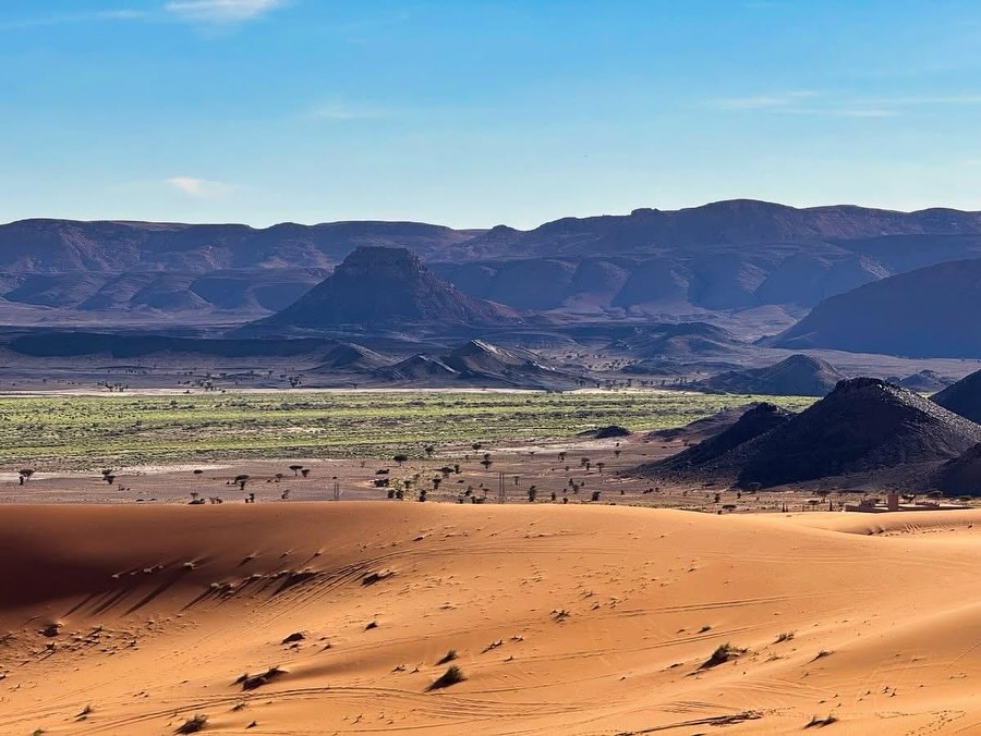 Ready to slow down and soak up the magic of Morocco? 🌞
Leave Marrakech behind and head over the High Atlas Mountains… think mountain views, quiet villages, desert sunsets, and starry skies in Merzouga.
No big buses. No rushed tours. Just your own private journey, your way.
📍Start in Marrakech
🏜️ Cross the Atlas
✨ Sleep in the dunes
Drop us a message when you’re ready. We’ll take care of the rest.
#kaoukitours #moroccovibes #merzouga #deserttrip #marrakechtomerzouga #slowtravel #moroccoadventures #atlasmountains