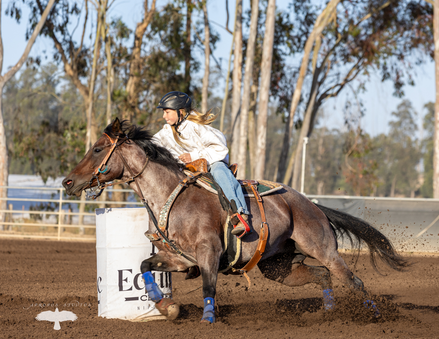 @6mequine Photos are up and ready from 6/11 (I wasn’t present Saturday 😢)
#barrelracing #equinephotography #photooftheday #horsesofinstagram