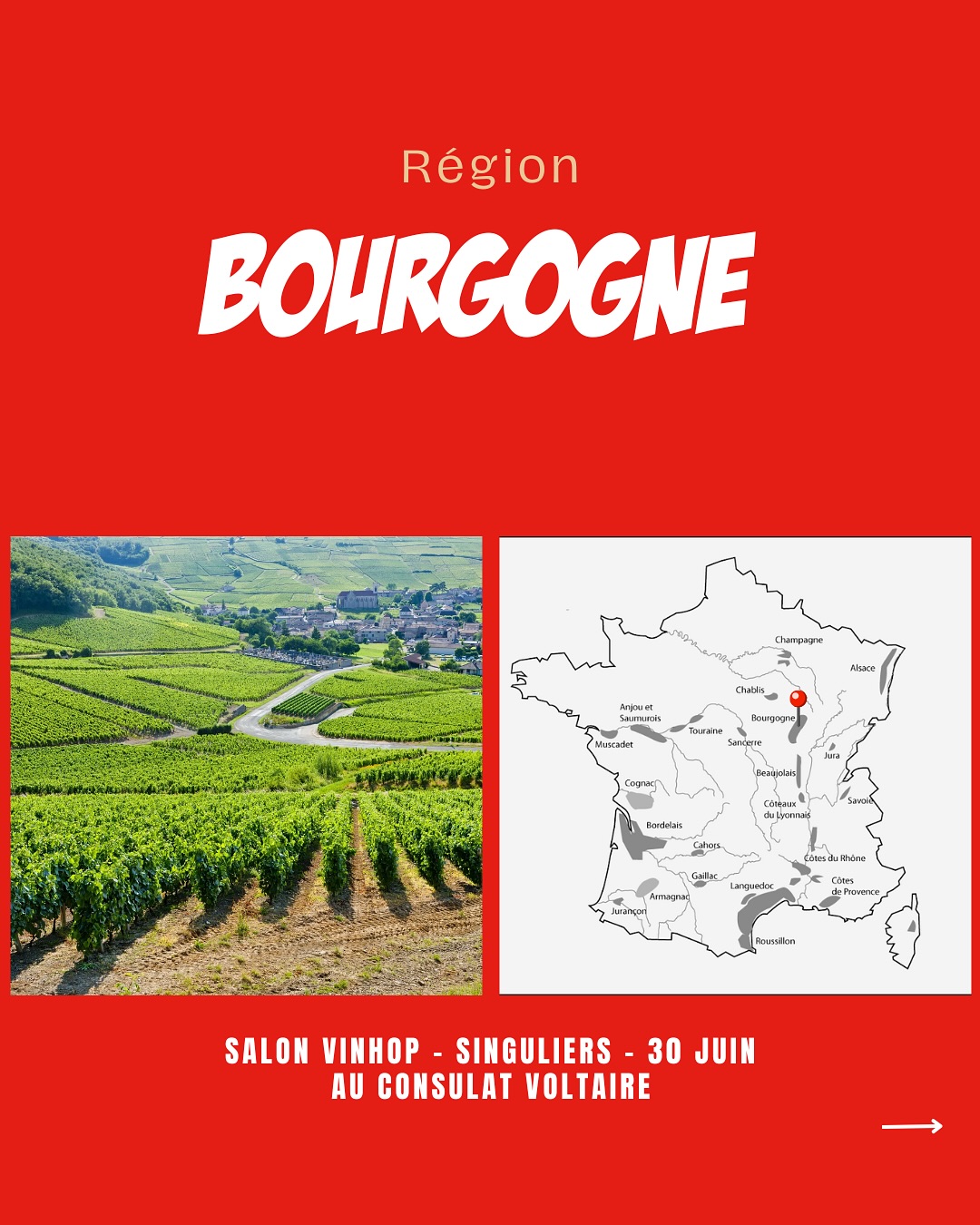 À la rencontre des vignerons de Bourgogne.
#confuroncotetidot
#sylvainpataille
@domainerobertdenogent
@domaine_trapet
@jeandauvissat
@antoinepetitprez
@domaine.de.mandelot
@domainetripoz
@domainealbertmorot
@domaine_de_courcel
@maison.nicolasmorin
@domaineservin
@domaine.des.malandes.chablis
@domaine_monthelie_douhairet
@chateauderougeon
@vinsrijckaert
@pierre_sarrazin
@francoisdegivry
Venez les découvrir lors de notre salon SINGULIERS, où plus de 90 vignerons seront présents.
📍Le Consulat Paris 11ème
📆 30 juin 2025
‼️Réservé aux professionnels - lien d’inscription en bio