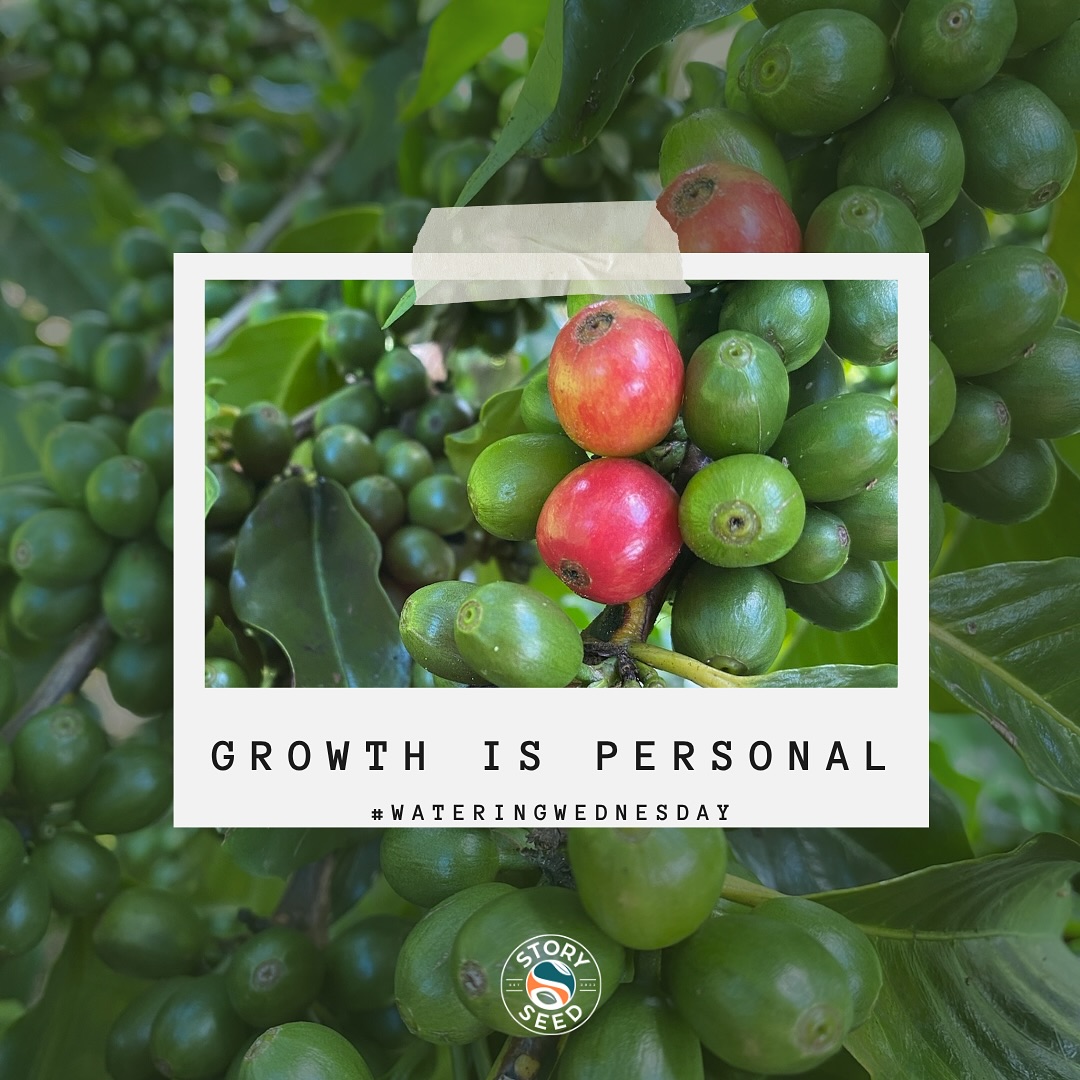 Watering Wednesday: Growth isn’t a race, and beauty isn’t about uniformity.
Like a coffee tree, every cherry turns red at its own time, some early, some later, some with a hue that’s a little bit different.
You don’t have to measure your growth in comparison to someone else’s timeline.
Your season will come, let life unfold.
www.storyseedcoffee.com
________________________________________
#storyseedcoffee #storyseed #coffee #coffeemarketing #coffeeisalwaysgood #coffeetime #colombiancoffee #dailyroast #singleorigincoffee #espresso #coldbrew #coffeedrinker #ilovecoffee #supportsmallbusiness #wateringwednesday #quote #quoteoftheday #inspiration