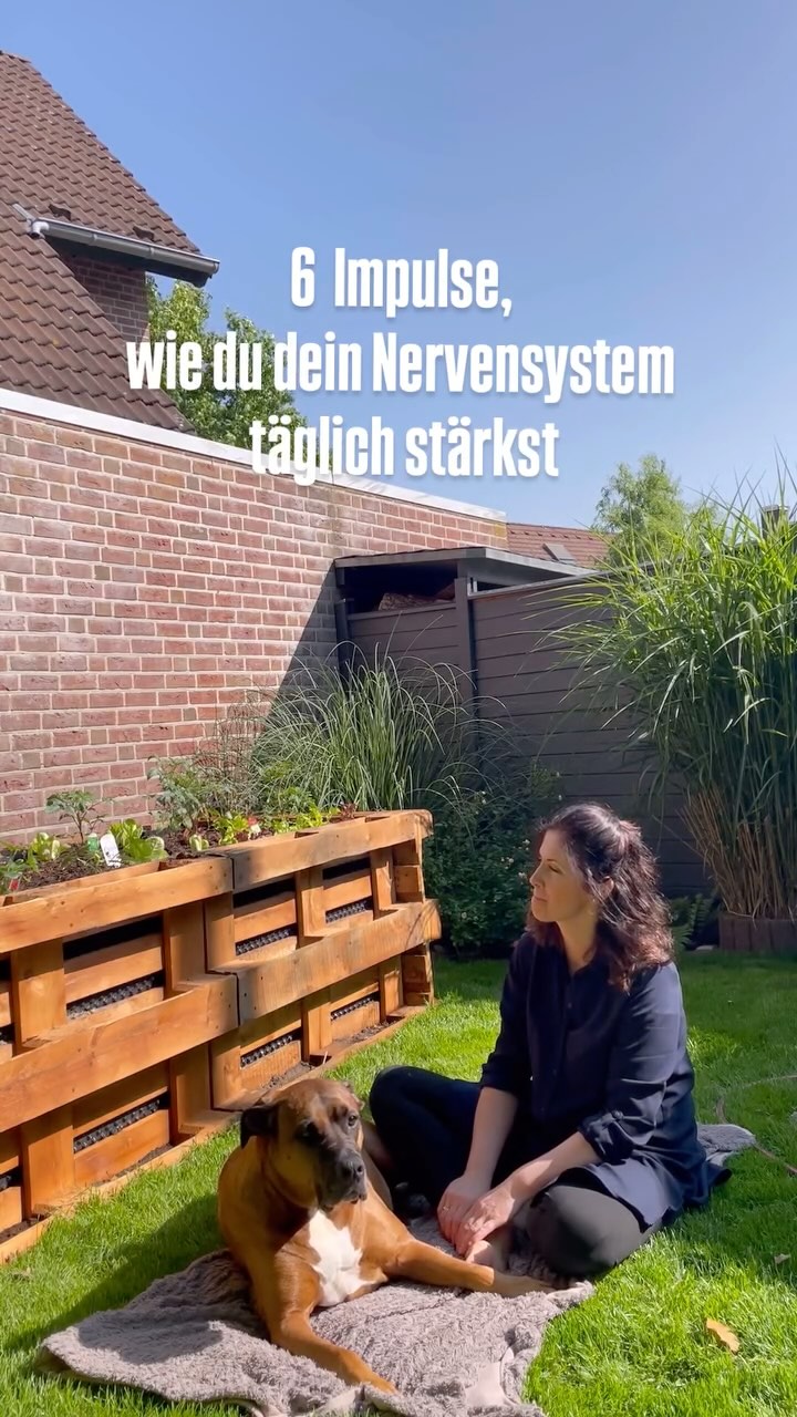 Es klingt einfach. Und genau das ist das Kraftvolle daran. 🙏🏻
Unser Nervensystem sucht ständig nach Sicherheit. Wenn wir gestresst, gereizt oder erschöpft sind, hilft kein bloßes „Darüber-Nachdenken“. Es braucht konkrete Signale – über den Körper, die Sinne, die Verbindung zu anderen.
Hier sind sechs einfache, aber wirksame Wege:
1.Rituale im Alltag
Kleine, wiederkehrende Handlungen wie Tee am Morgen oder ein Spaziergang zur gleichen Zeit geben Sicherheit.
➡ Sie signalisieren deinem Gehirn: Es ist alles in Ordnung.
2.Langsamkeit
Ein ruhiges Tempo entlastet dein System.
➡ Der Stressmodus (Sympathikus) fährt runter – dein Körper kann durchatmen.
3.Berührung
Eine liebevolle Geste, Wärme oder deine eigene Hand auf dem Herzen.
➡ Oxytocin wird ausgeschüttet – das beruhigt, entspannt, verbindet.
4.Verbindung
Ein ehrlicher Blick, ein echtes Gespräch, gesehen werden.
➡ Soziale Nähe reguliert über Co-Regulation – dein System fühlt sich gehalten.
5.Sinneswahrnehmung
Wärme auf der Haut, ein Duft, Musik oder ein schöner Anblick.
➡ Deine Sinne aktivieren den Vagusnerv, der für Entspannung zuständig ist.
6.Natur
Barfuß im Gras, das Rauschen der Blätter, Licht auf der Haut.
➡ Studien zeigen: Natur senkt den Cortisolspiegel, beruhigt Herz und Atem.
Diese Impulse sind kein “Mehr tun” –
sie sind eine Einladung, dich wieder zu spüren.
Jeden Tag ein bisschen. Ganz einfach.☺️
Beata ❤️
#Nervensystem #Entspannung #InnereRuhe #Achtsamkeit #Stressmanagement #Selfcare #MentalHealth #Selbstregulation #Vagusnerv #PolyvagalTheorie #GanzheitlicheGesundheit #BerührungWirkt #LangsamkeitLeben #ZurückZuDir #Traumasensibel #CoRegulation #Körperarbeit #Gesundheit #HeilungBeginntImKörper #WenigerMüssenMehrSein