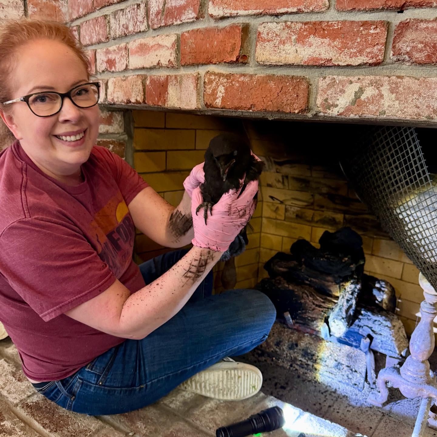 VOLUNTEER HIGHLIGHT!
So many of our rescues are animals brought to us by our astounding volunteers who go, quite literally, above and beyond. Right now is baby season and we have received many calls about animals being found in odd places. This situation was exactly that— one of our hardworking volunteers got the call and responded without hesitation to an animal in a local business’ chimney. Shanna, our volunteer pictured above, very carefully got the animal down without any harm being done to her or the animal.
Our mission would not be made possible without these amazing humans who dedicate and donate so much of their time to help these animals. It’s truly a labor of love and we are so extremely grateful to have such an astounding team supporting our work!!! Both humans and animals like say thank you to amazing volunteers like Shanna!
#werc #wildlife #rescue #crow #babyseason #southbay #bayarea