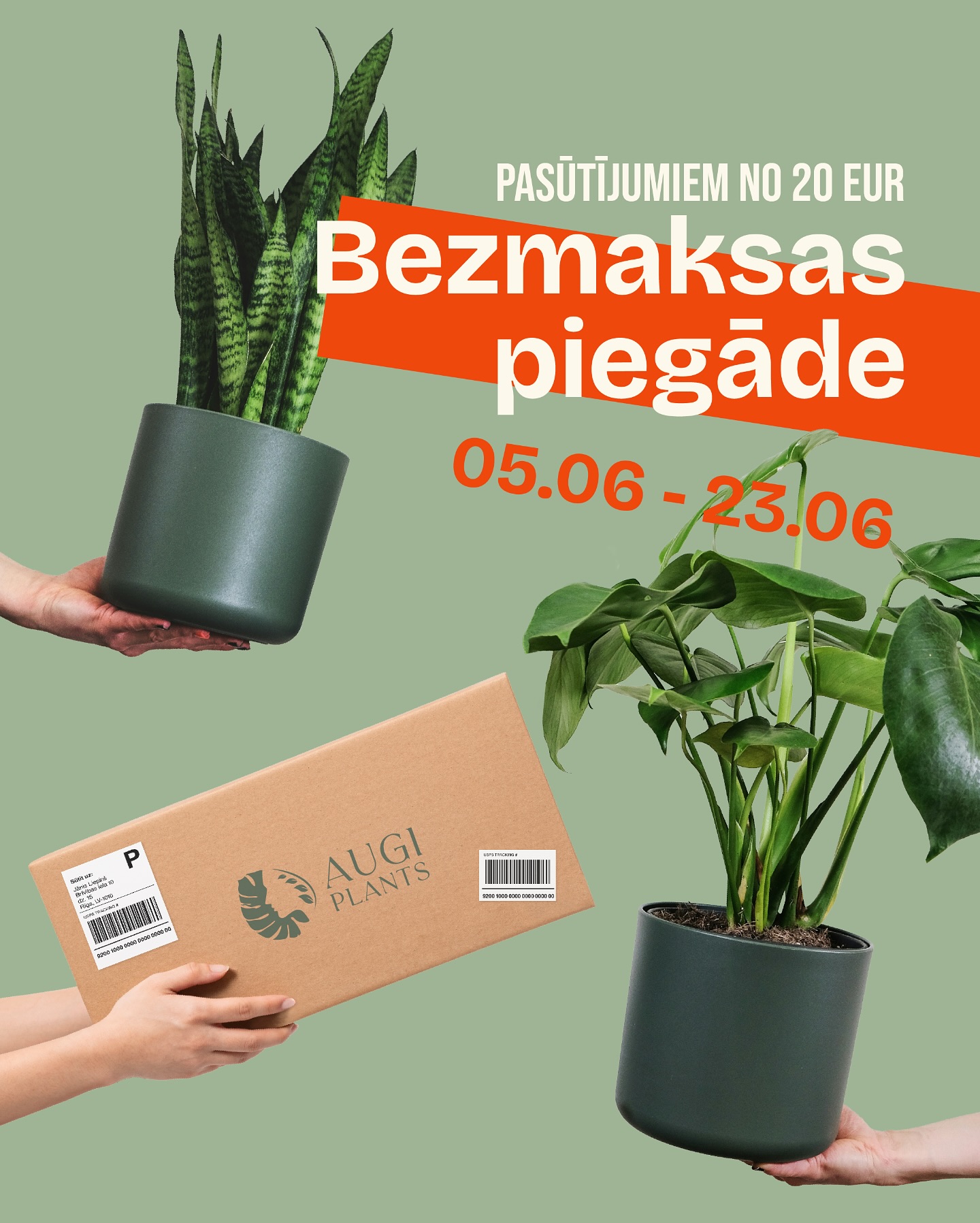 BEZMAKSAS PIEGĀDE
1.-23.06. visiem pasūtījumiem virs 20€ dāvinām bezmaksas piegādi.
Pasūtījumu varat veikt AUGI-PLANTS.LV. Nodrošinam pasūtījumu piegādi visā Baltijā ar omnivu.
#augi #akcija❗️😊 #telpaugukopšana