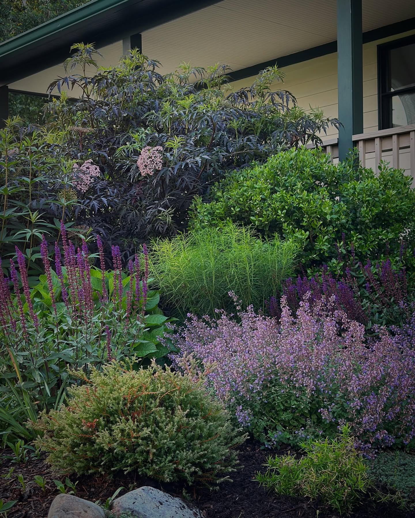 Always trust the process ✨Nature takes her time - this garden is in its third year and it is thriving! By incorporating native plants in our gardens we help attract pollinators to help the ecosystem 🐝