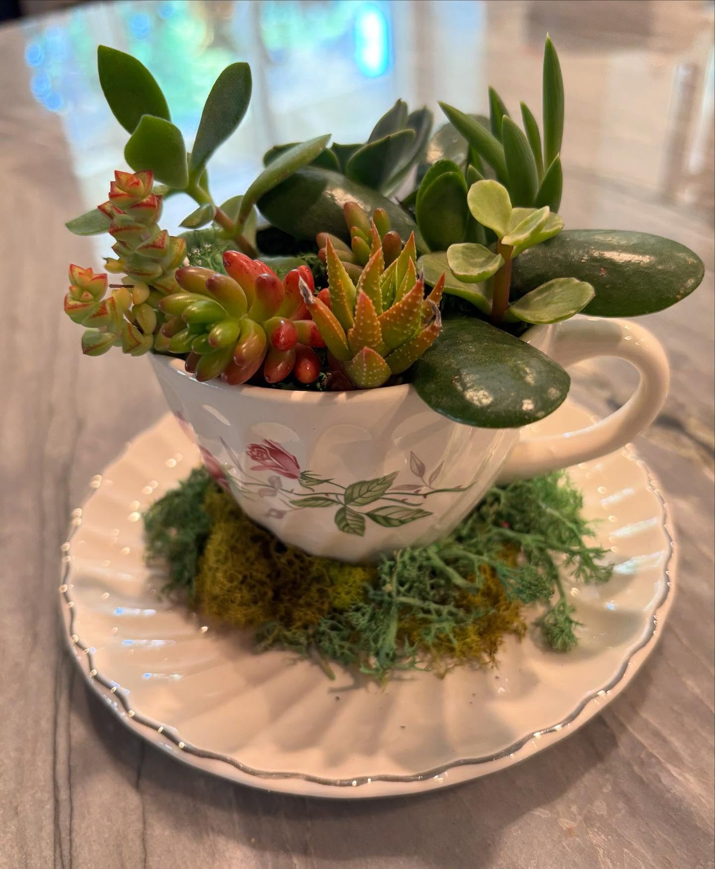 I'm so excited! Getting all the supplies prepped for the TeaParty Art camp starting in one week! How cute is this succulent garden in a teacup!!! The kids are going to have a blast picking out their succulents to use with their teacups. I'm also gathering all the beautiful supplies for our Fascinator Tea Party hats. I grew up having afternoon teas and drinking out of fancy tea cups with my grandparents and can't wait to share this traditional with all the kids. I have one spot left in our June 23-26, 1-3pm camp. DM me for details. Ages 5-12.