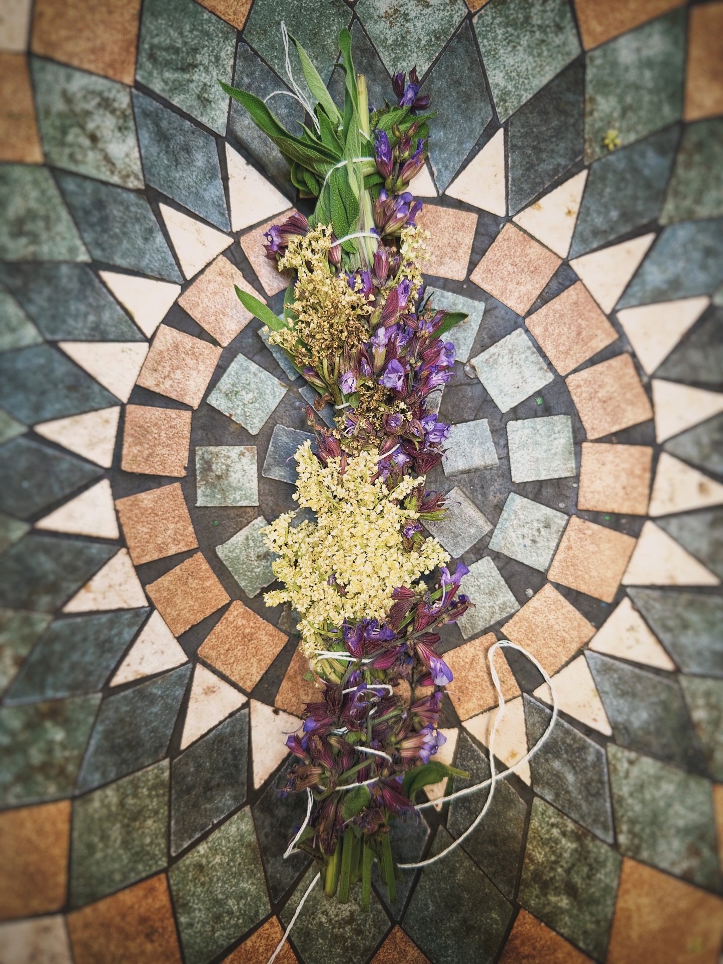 ✨Räucherkraft vom Feld✨
Heute beginnen wir mit dem Binden unserer neuen Räucherbündel aus Echtem Salbei, Rosenblättern und Holunderblüten – kraftvoll vereint im Licht des Vollmonds, der für Reinigung, Loslassen und Neuausrichtung steht. 🌕
Unsere Kräuter wachsen direkt auf unserem eigenen Feld in Krumbach (Niederösterreich) – unter freiem Himmel, in gesunder Erde, begleitet von Sonne, Regen und dem Rhythmus der Mondphasen.
Warum das wichtig ist?
Wenn du räucherst – sei es beim Yoga, in deiner Morgenroutine oder während eines Rituals – zählt nicht nur die Pflanze selbst, sondern auch ihre Herkunft und wie sie gepflegt, geerntet und verarbeitet wurde.
Unsere Pflanzen sind regional, naturbelassen und mit Achtsamkeit von Hand geerntet – das spürst du mit jedem Atemzug und in der Energie, die sie tragen.
⸻
Die Räuchereigenschaften unserer Pflanzen
Echter Salbei (Salvia officinalis)
Eine der ältesten europäischen Räucherpflanzen – tief verwurzelt in unserer Tradition.
– klärt Räume und Gedanken
– schafft Fokus und geistige Klarheit
– unterstützt das Loslassen – ideal vor oder nach der Yogapraxis
– schützt das Energiefeld
Unser Salbei wächst kräftig und aromatisch auf dem Feld in Krumbach, erdig, bodenständig, sanft und wirkungsvoll.
Holunderblüten
Eine mystische Pflanze der Übergänge.
– unterstützt innere Wandlungsprozesse
– wirkt schützend und segnend
– öffnet einen feinen Raum zwischen Altem und Neuem
Gerade in meditativen oder ruhigen Yogaformen wie Yin Yoga begleitet Holunder besonders sanft und tief.
Rosenblätter
– öffnen das Herzchakra
– bringen Sanftheit, Liebe und Selbstannahme in deine Praxis
– fördern Achtsamkeit und innere Harmonie
Der feine Duft der Rose hilft dir, dich in deiner Mitte zu verankern – liebevoll und präsent.
⸻
Ob zur Meditation, in deinem Yoga- oder Abendritual…Unsere Bündel tragen die Kraft unseres Bodens, die Weisheit der Pflanzen und die Ruhe des Vollmonds in sich. 🫶
Von Hand gebunden. In Achtsamkeit. Für dich.
📍Aus Krumbach. Für Körper, Geist & Seele
#räuchern #salbei #kräuterbündel