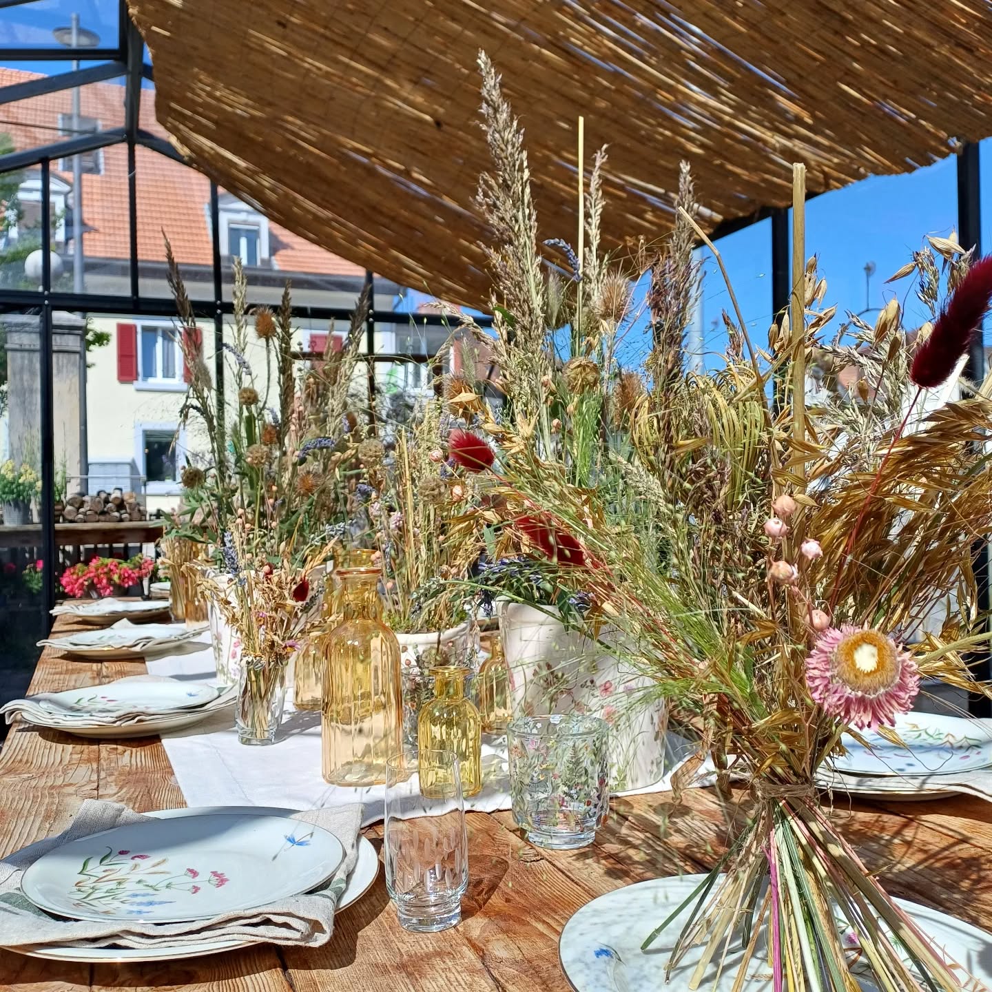 Changement de décoration dans notre serre