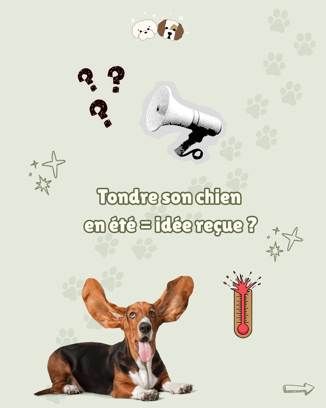 🐶☀️ Tondre son chien en été = fausse bonne idée !
Tu pensais l’aider à avoir moins chaud ? En réalité, son pelage le protège !
➡️ Il isole de la chaleur
➡️ Il bloque les UV
➡️ Il régule sa température
Le tondre c’est le rendre plus vulnérable aux coups de soleil voir à une surchauffe 🌡️
👉 Ce qu’il faut faire : brosser régulièrement pour enlever le poil mort, pas tout couper !
Tu veux plus de posts dans ce style ? Dis le en commentaire ! 💬
📆 N’hésites pas à me contacter pour prendre rdv pour un toilettage à domicile ! (Saintes et alentours)
#toilettage #toilettagedomicile #doghealth #conseilcanin