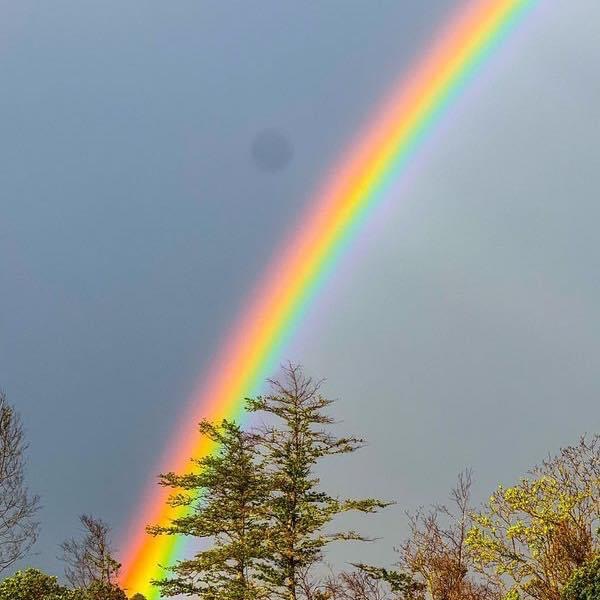 It’s a soft, rainy afternoon—the kind that invites tea, a cozy blanket, and maybe a quiet exhale.
Today’s blog is a reflection on the small wins in parenting—the subtle, sacred moments that so often go unnoticed but mean everything.
The ones where everyone’s content. Where peace hums in the background.
The ones that remind you—you’re doing better than you think.
✨ Read it here: https://wix.to/vzkXxLm
#ParentingWithPresence #SmallWinsBigMagic #JoyInTheEveryday