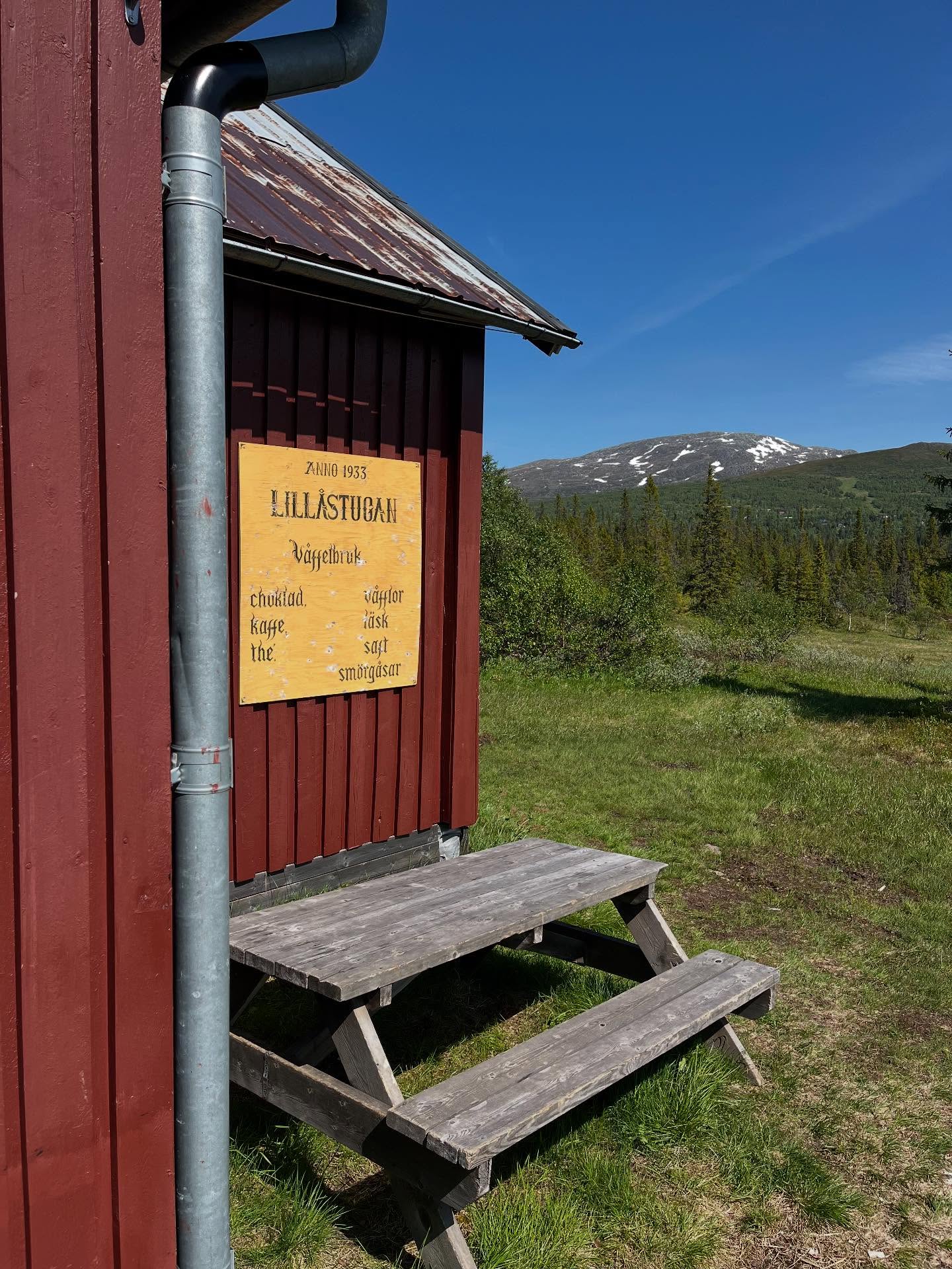 På torsdag 26 juni öppnar vi dörrarna & välkomnar äntligen sommargäster till @lillastuganvaffelbruk 💚
Tack vare våra markägare & @aresweden ligger det spänger från Ullådalsparkeringen hela vägen fram till oss 🙏 ca 1.8km i fantastiskt natur.
Väl framme från vilken väg ni än valt till oss serverar vi våra våfflor med sylt & vispad grädde eller varför inte hemgjord glass 🧇 självklart finns även hembakade bullar, kakor och bakverk.
Varmt välkommen på fjällfika 🧇 ☕️ ☀️ ⛰️
Öppet torsdag- lördag kl. 11.00 - 15.00
📷 @judithbergstrom