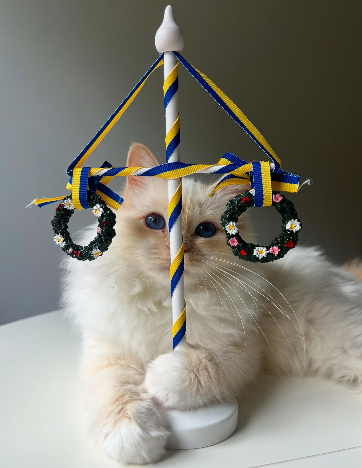 Happy midsummer from Juno ❤️