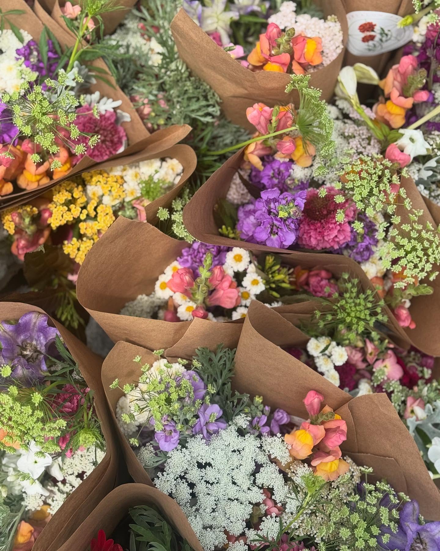 Lots of reasons to grab a local bundle this weekend whether celebrating your graduate, expressing gratitude for a teacher on the last day of school, breaking gender stereotypes and buying your dad flowers, or bringing comfort or a spot of joy to a friend, neighbor or loved one who could use some extra support in these fraught times.
Bouqs just dropped at @themercva and @lovettsvillemarket
Stay cool 💦Stay safe✊
#localflowers #farmworkers #migrantworkers #humanrights #dueprocess #nofarmsnofood #lovethyneighbor