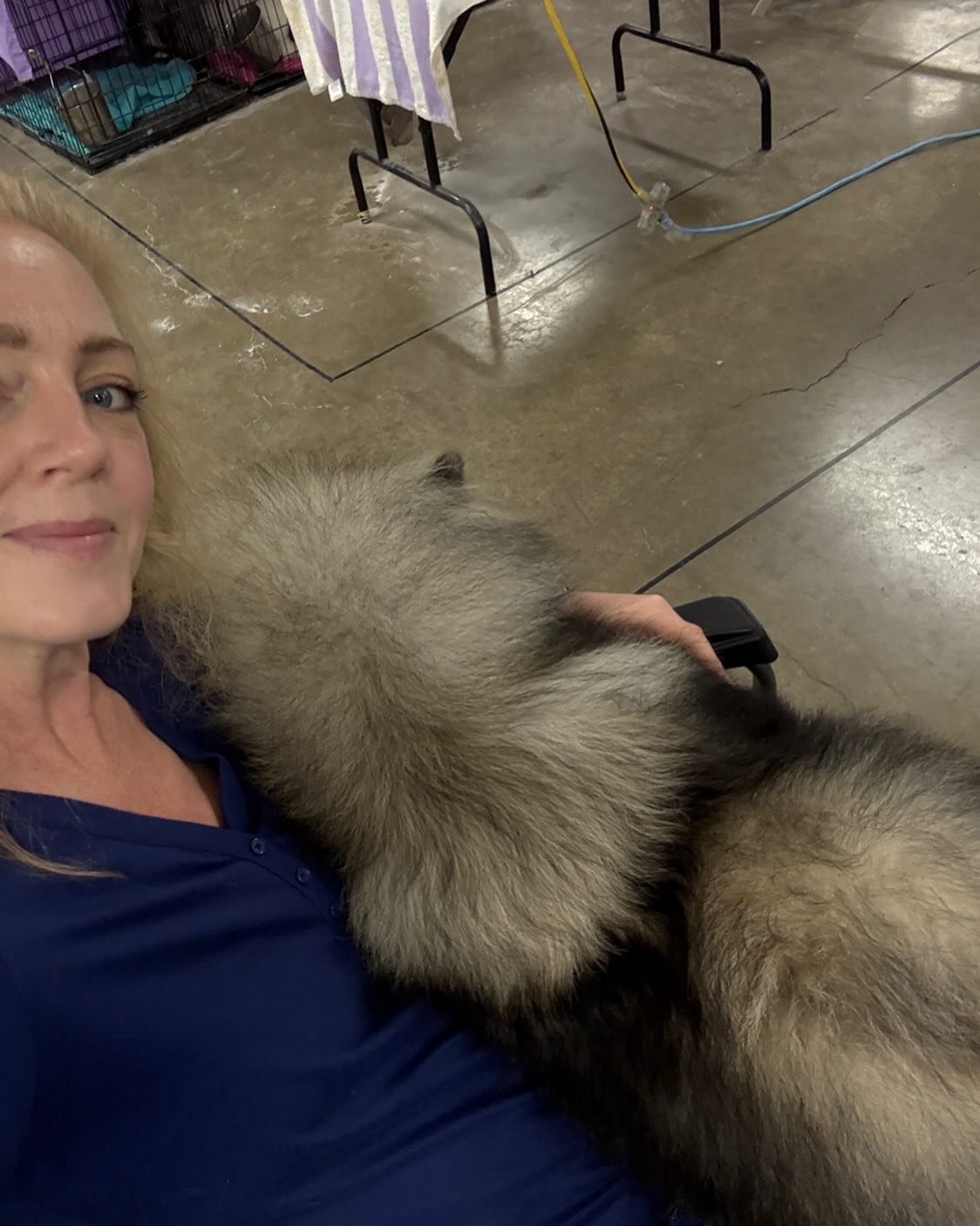 Cuddles with Salty before we showed yesterday. She is the snuggliest girl. #poormiserableshowdogs #peregrinekeeshond #keeshondsofinstagram