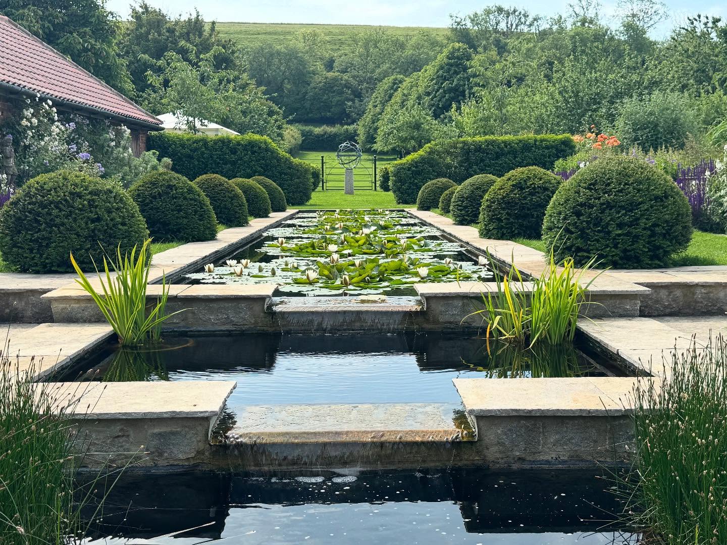 It’s always a pleasure to revisit a garden and see how it’s developed. This one certainly didn’t disappoint, in fact I was blown away by how fabulous it was looking. #waterill #gardenvisit #waterlillies #summerborders #fiboylegardendesign