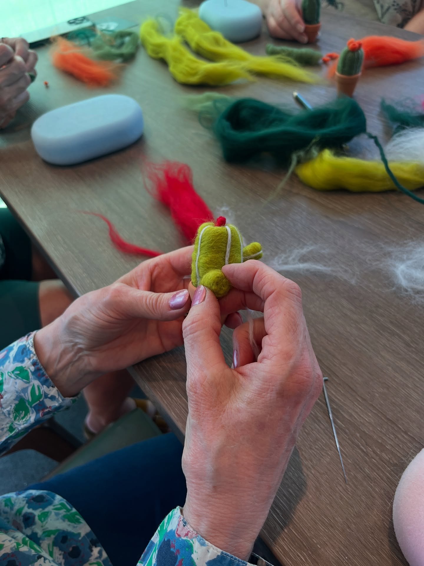 Lots of laughter and fun was had at our first workshop aboard the Spirt of the Rhine and some wonderful little cacti were needle felted! 🌵#supercraftcruises #saga #sagacruises