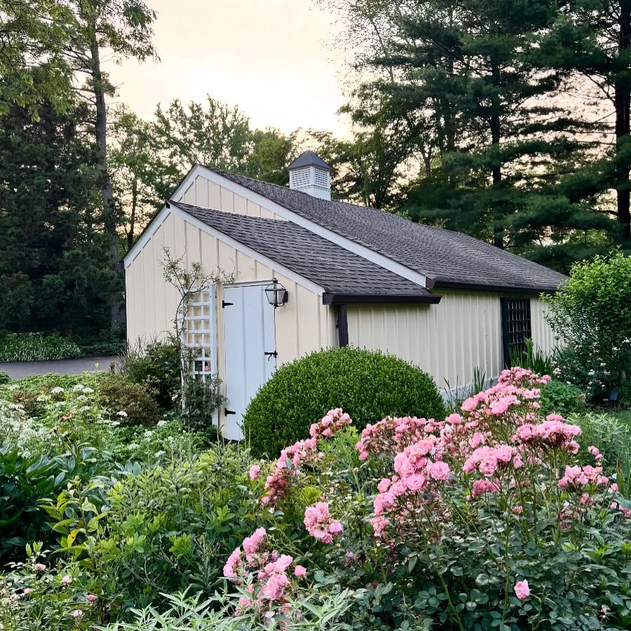 Early evening.
-Cape Cottage Garden, Zone 7a, New Jersey, USA.
#Finegardening,#perennialgardens #countrygardens #gardengatemagazine #thecottagejournal #unbelievablegardens #homeandgarden #thehappygardeninglife #gardendesign #romanticgardendreams #countrygarden #gardenplanning #gardengreatorsmall #betterhomesandgardens #thegardeningspirit #gardenanswer #njgardening #bhggarden#cottagegardens #flowerlovers #gardensofinstagram