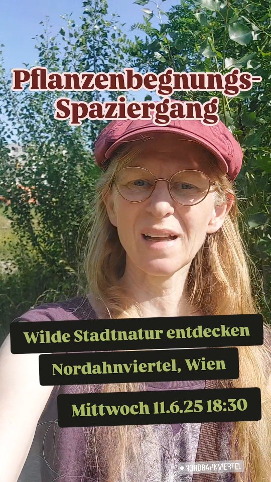 Alles Natur oder was?
Entdecke mit mir die wilde Pflanzenwelt im Nordbahnviertel.
Mi 11.6.25 18:30
Treffpunkt Bruno Marek Allee 5
Kosten 25,-
Bitte anmelden...
https://www.verenaschoenauer.at/event-details/pflanzenbegegnungen-nordbahnviertel
Oder Nachricht senden!
#pflanzentanzen #verenas_pflanzentanz #pflanzenvorstellung #pflanzenbegegnungen #nordbahnviertelwien #nordbahnviertel #freiemitte #freiemittenordbahnhof #wienentdecken #wienerwildnis #stadtnaturwien #wienerführungen #führungenwien #garteninwien
#wienstagram #1020wien #kräuterwanderungwien #führungwien #wienführung #stadtwildniswien