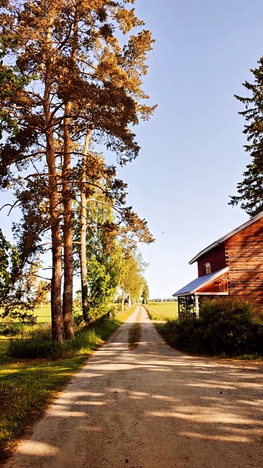 You are welcome to enjoy some downtime in the countryside. 💛 What a beautiful summer day! 🌿
#visitfinland #ruutinkartano #matkailu #suomenkesä #vuokramökki #maatilamatkailu