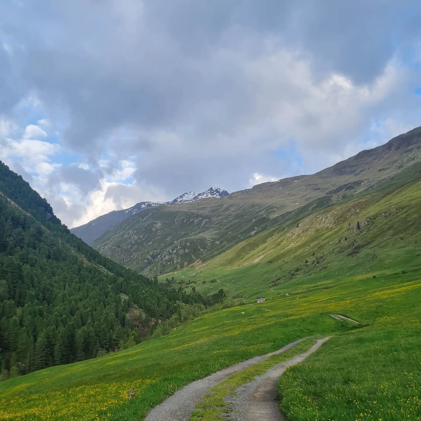 Der Schafübertrieb im Schnalstal ist eine alte und noch immer lebendige Tradition. Der archaische Brauch des Schafübertriebs, auch als Transhumanz bezeichnet, ist Teil des immateriellen Kulturerbes der UNESCO.
Jedes Jahr ziehen Hirten Mitte Juni mit drei- bis viertausend Schafen von den Dörfern Vernagt und Kurzras im Schnalstal über das Nieder- und das Hochjoch auf die Sommerweiden bei Vent im österreichischen Ötztal.
Ein sehr beeindruckendes Erlebnis. Bereits der Zustieg ins Tal ist eine Reise wert. Wer möchte mich nächstes Jahr wieder begleiten? Meldet euch einfach.
#wandern #berge #transhumanz #schafuebertrieb #Schafe #UNESCO #schnalstal #oetztal #bergliabi