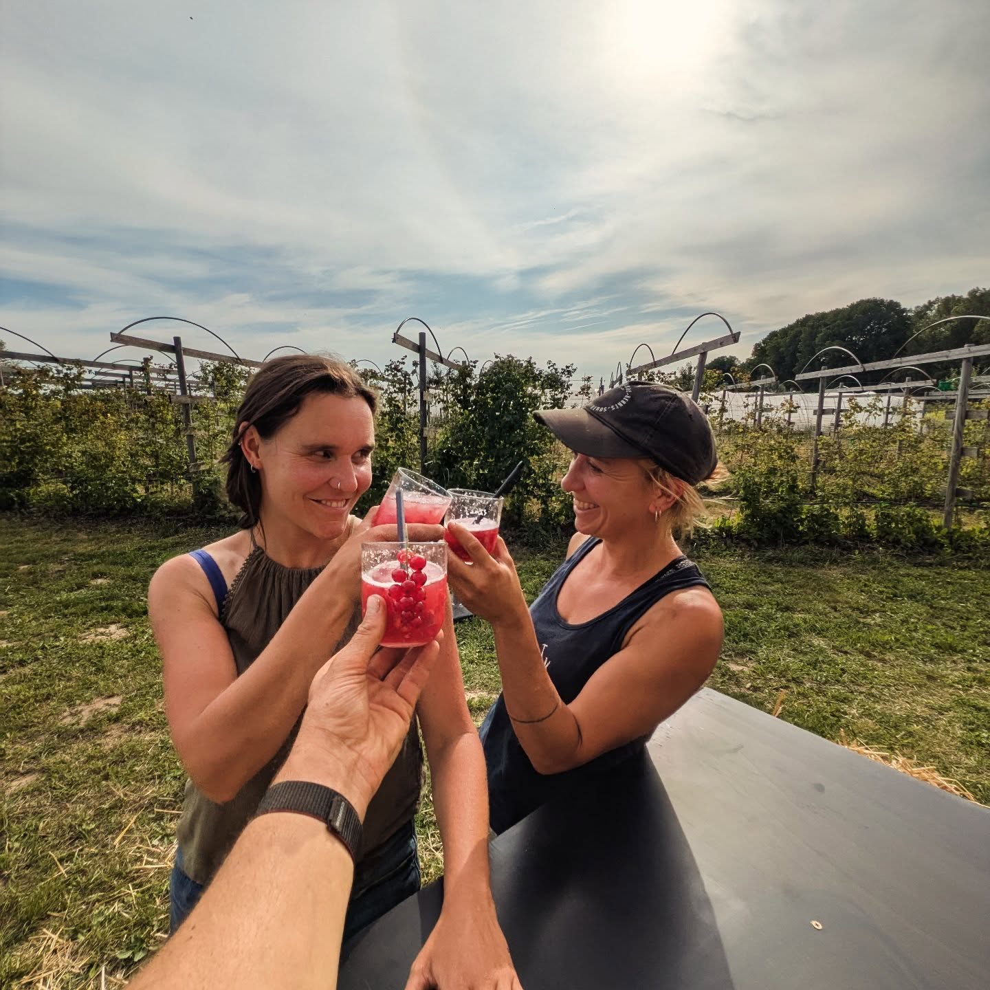 Frambozen Fizz 🍹
Eentje om te testen, of twee. 👀
Onze veldbar staat terug op voor een zonnig weekend samen met jullie. ☀️ Taart van @eline.weideweelde, kaas van @hethinkelspel, droge wosten @deboomslagerij en dips van @degoedezaak_seitan
Vier samen met ons de langste dag van 't jaar.
En met heerlijke kouter cocktails 🔥
Zelfpluk: frambozen, aalbessen, kruisbessen, cassis en taybes.
veldbar: fruitijsjes & limo's
Spring eens binnen, tis hier goed ✌🏻
De boeren van de Daalkouter 🤸🏻