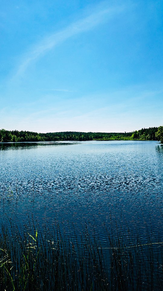 Loving these moments of summer.
.
.
.
#sommartid #sverige #småland #slowandsimpledays