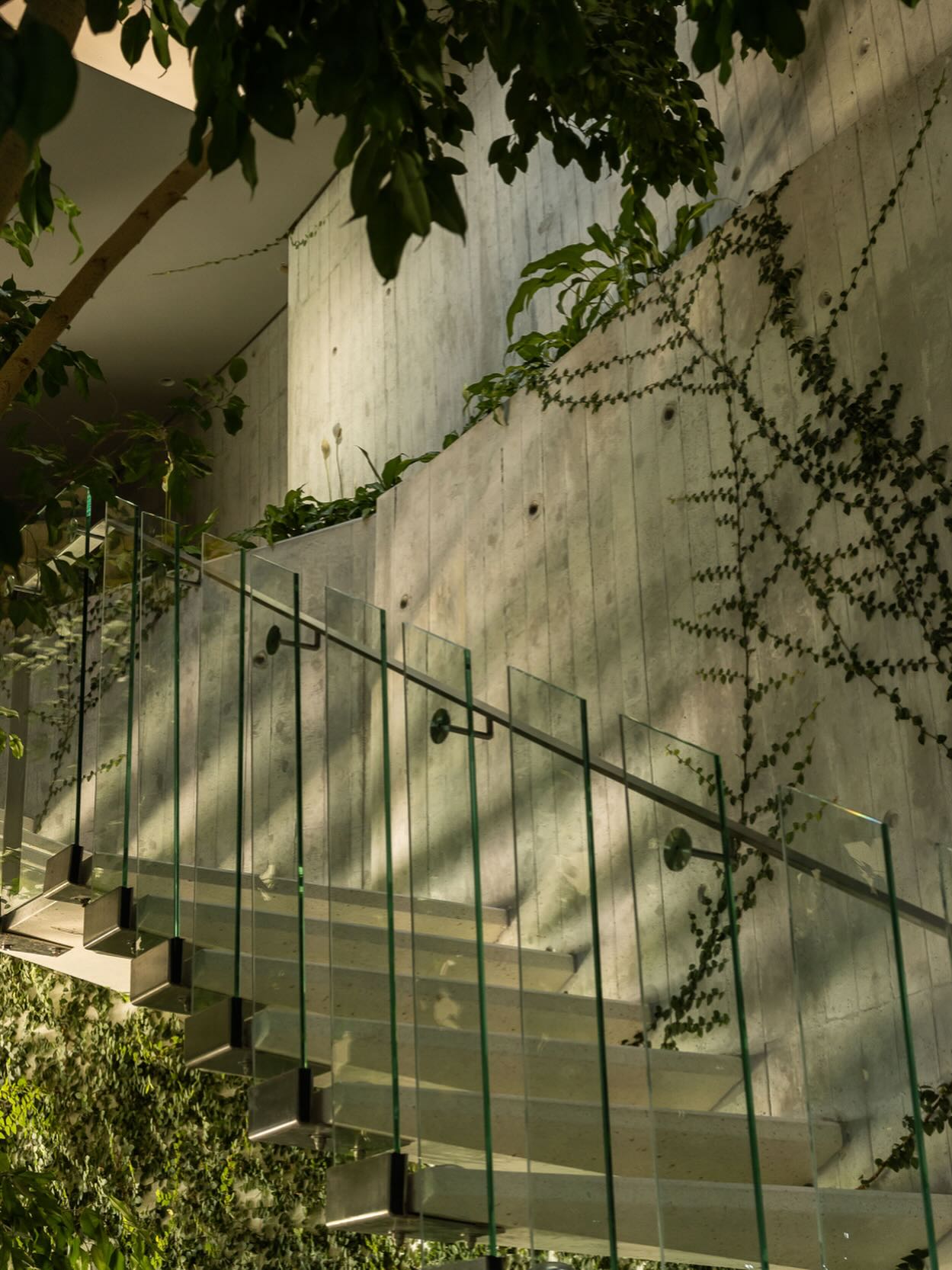 Here,wellness begins with the architecture. Spaces to breathe. Windows that open to the horizon. Rooms that hold the daylight . And time - the rarest amenity of all