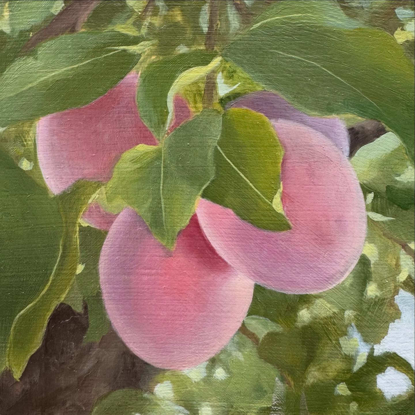 Eight 5x5s coming to the @utahartmarket ‘s 135 Show today. They are all dressed up with a gold leafed edging. Pick your favorite fruit!