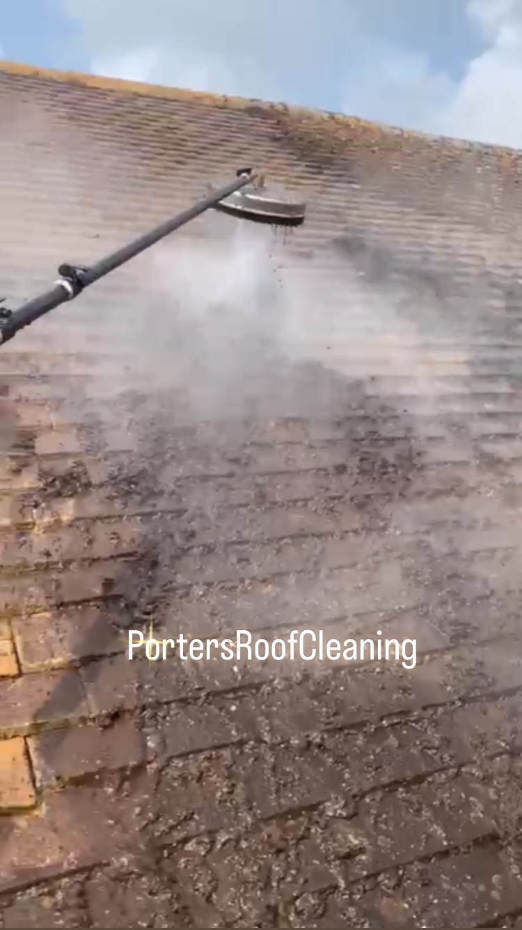 We like to move like this #roofcleaning #roof #cleaning #satisfying #oddlysatisfyingvideo #maintenance #exterior