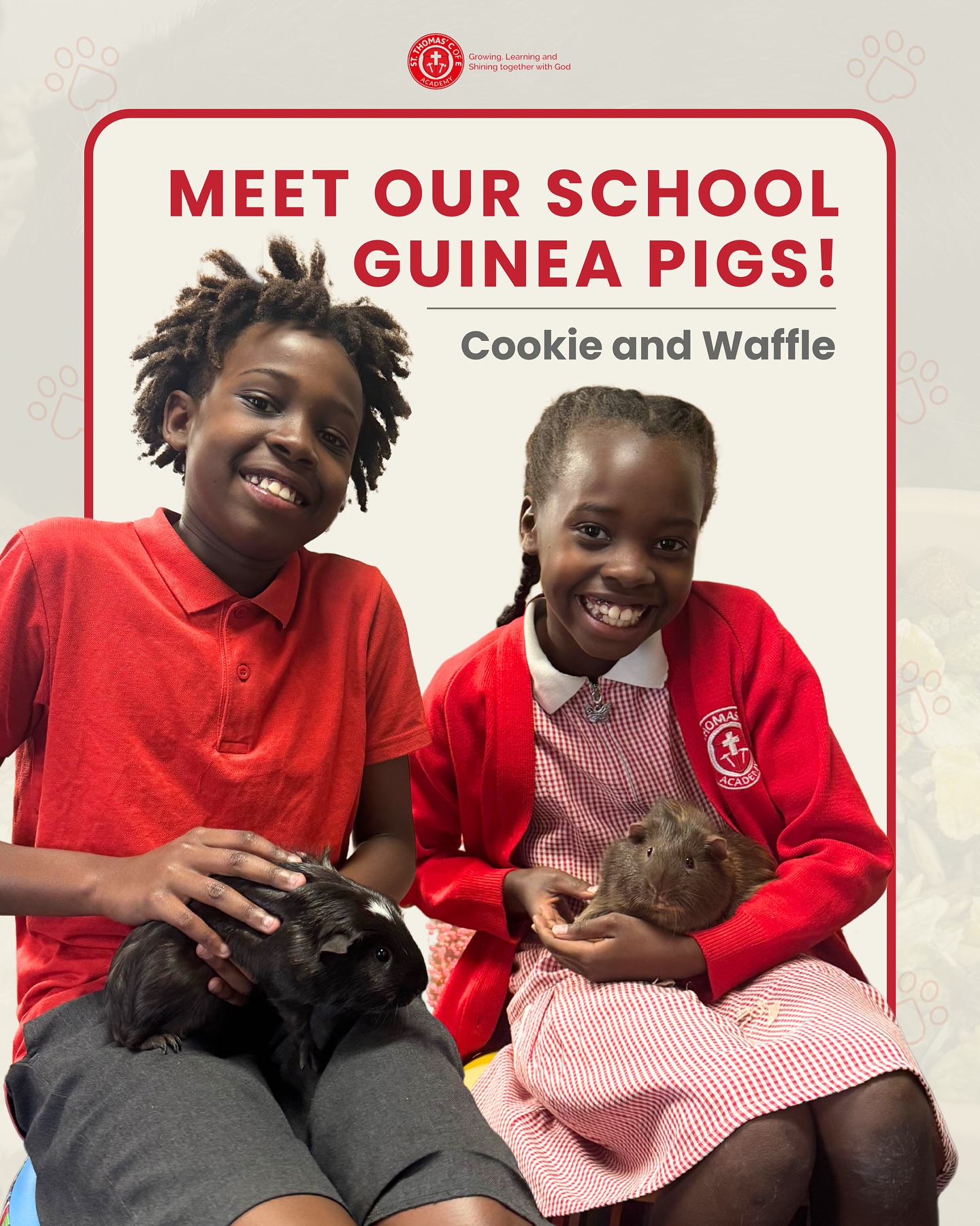 Meet our guinea pigs!
Cookie and Waffle are more than just school pets! Children visit them for all sorts of reasons from fun cuddles to helping with emotional regulation. ✨🐹
They are always happy to see the children every day, especially when they’re fed their greens and hay! 🥬
Make sure you say hello to Cookie and Waffle when you visit. 👋
#creatingfuturestogether