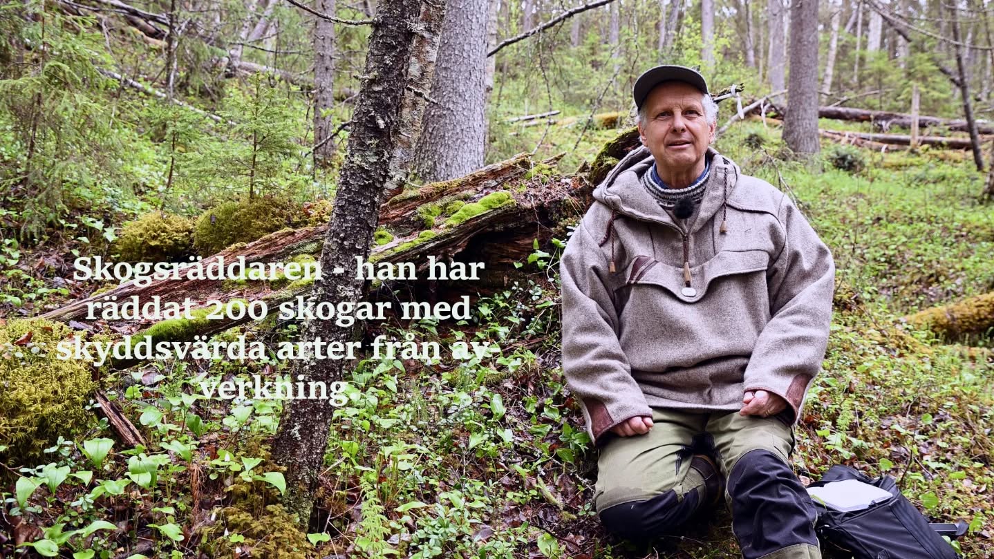 https://youtu.be/ltZbbew8ZkY?si=CFb6EJeeFDAQqnz2
Han har räddat 200 skogar från avverkning.
#matskarström
#skogsräddaren
#skog
#norrbotten
#vuolerrim