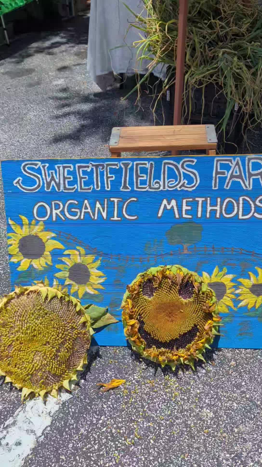 Hello to the Clearwater FL community ๐ง๐ผโ๐พ๐ฉ๐ปโ๐พ
Already seeing some of our followers from the area.
So thankful to be finishing up our harvest at our last Market of season in your area. Fresh Flowers and Organic Veggies. stop by and see us and all the great vendors at this adorable garden market located next to Delukas restaurant in Clearwater.
#farmersmarkets #sweetfieldsfarm #freshflowers #thingstodo #clearwaterfl