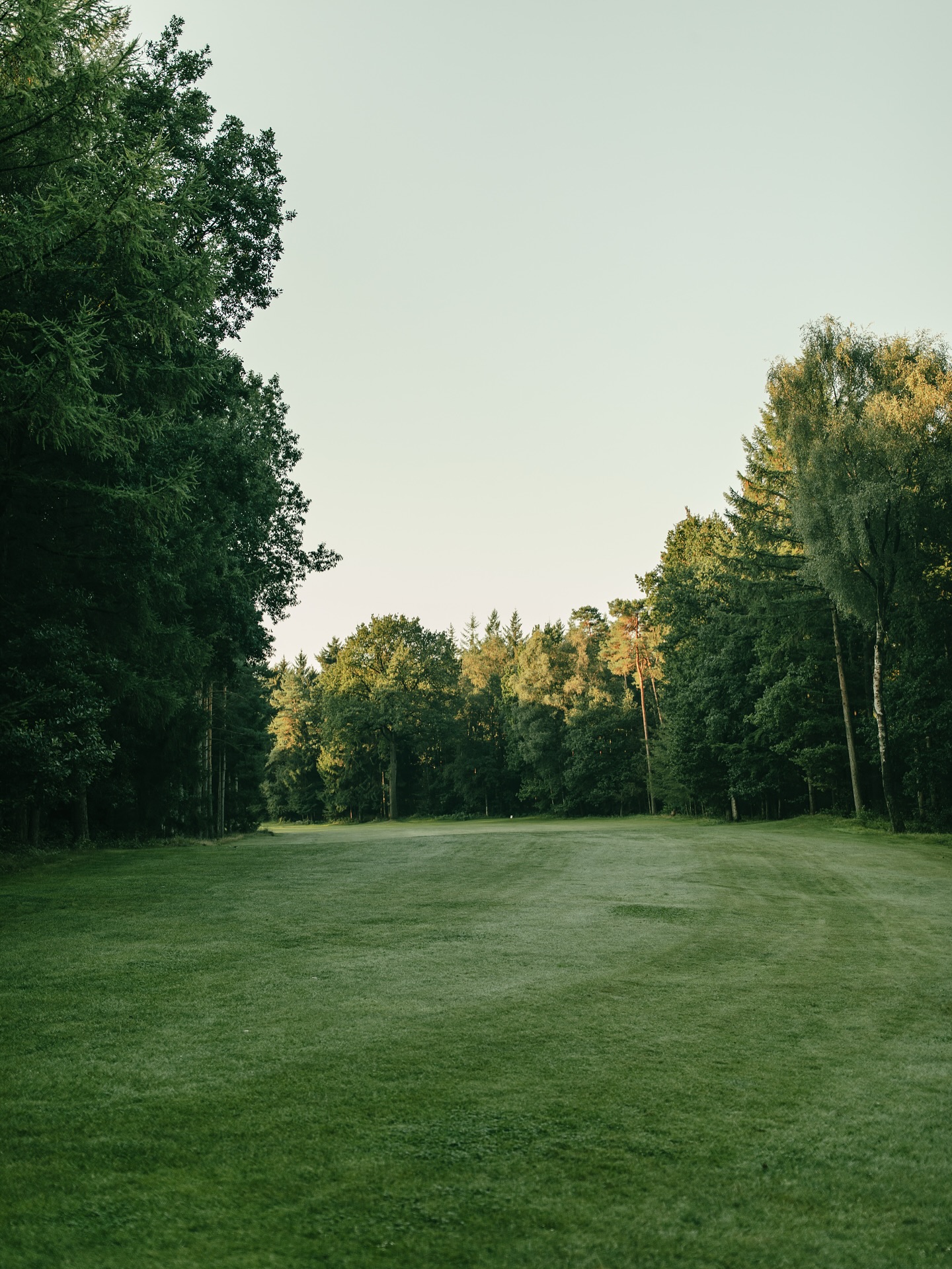 Impressionen vom Golfplatz.
#golf #vechta #golfplatz #golfimnorden #golfphotography #golflife #golfdeutschland #golfcourse #golfclub #oldenburgermünsterland