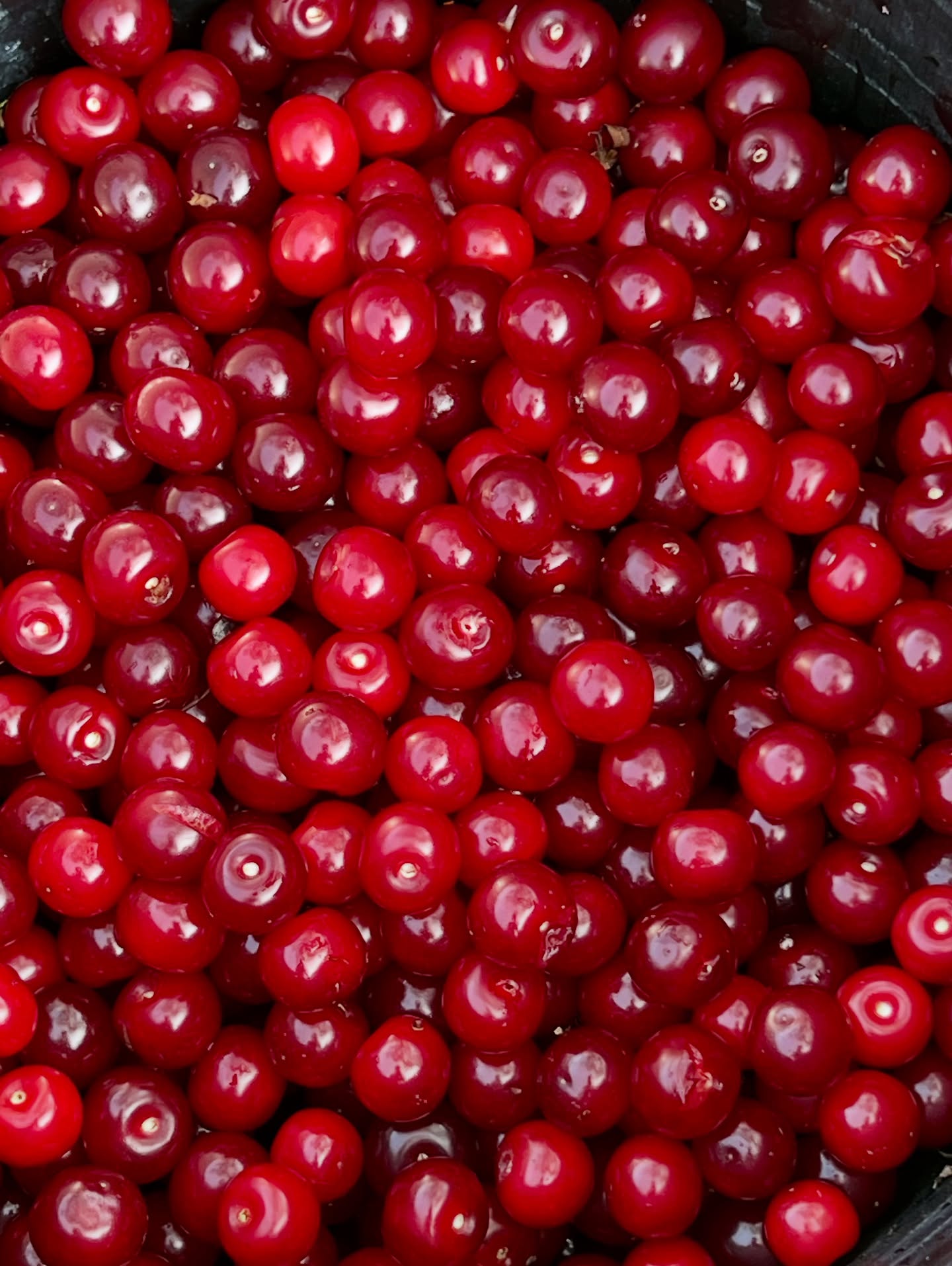 Wieder einmal was Neues! ♥️ was könnte das denn werden? #newprojects #neuesprojekt #langenlois #kamptal #austrianwine #lowalcohol #alternative #robertherbst #robertherbstwein