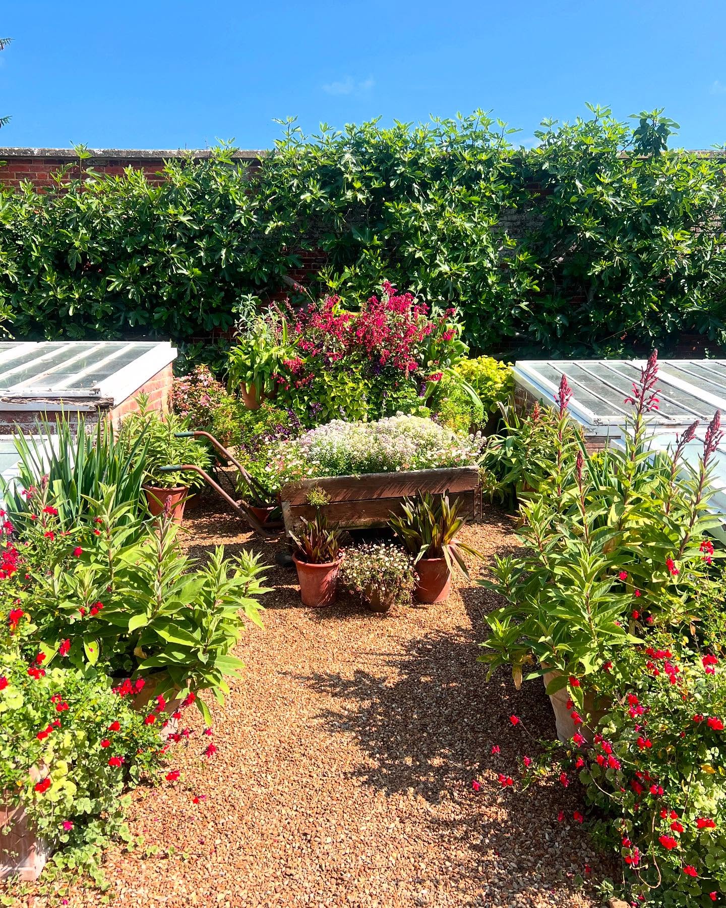 Round by the cold frames on a very hot day @houghton_walled_garden