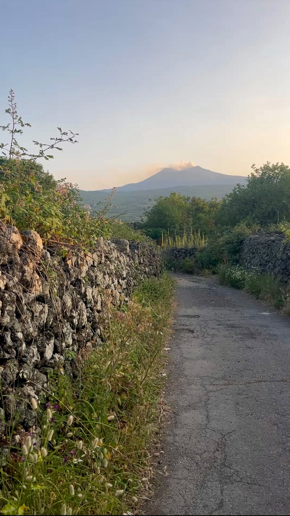 Der Sommer hatte dieses Jahr in Sizilien etwas Anlaufschwierigkeiten. Doch nun ist er da mit sommerlichen Temperaturen um die 30°. Die täglichen Sonnenauf- und untergänge färben den Abendhimmel pastellfarben. Ein Abendspaziergang durch die Natur vorbei an den vielen Steinmauern und Steinterrassen, ist stets ein schöner Tagesabschluss.
#sizilien #mood #sizilien #sundowns #orange