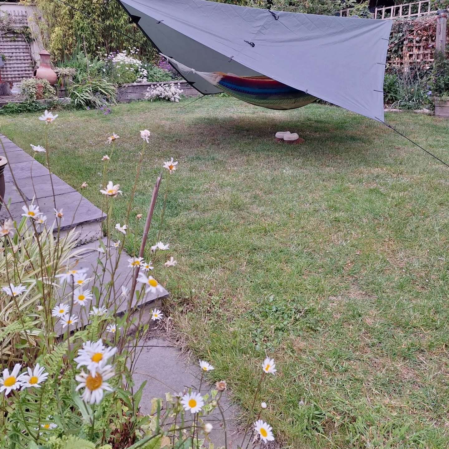 Strawberry moon this week.
Here is the view from my hammock in the garden.
It didn't rain overnight after all but I can see the tarp saved me from some bird poo 😜
That's 6 full moons sleeping out 🤩
The magpies were kicking off about something first thing. Not quite the dawn chorus I usually here. 😂
#sleepingout #sleepingwiththemoon #hammocklife #natureconection