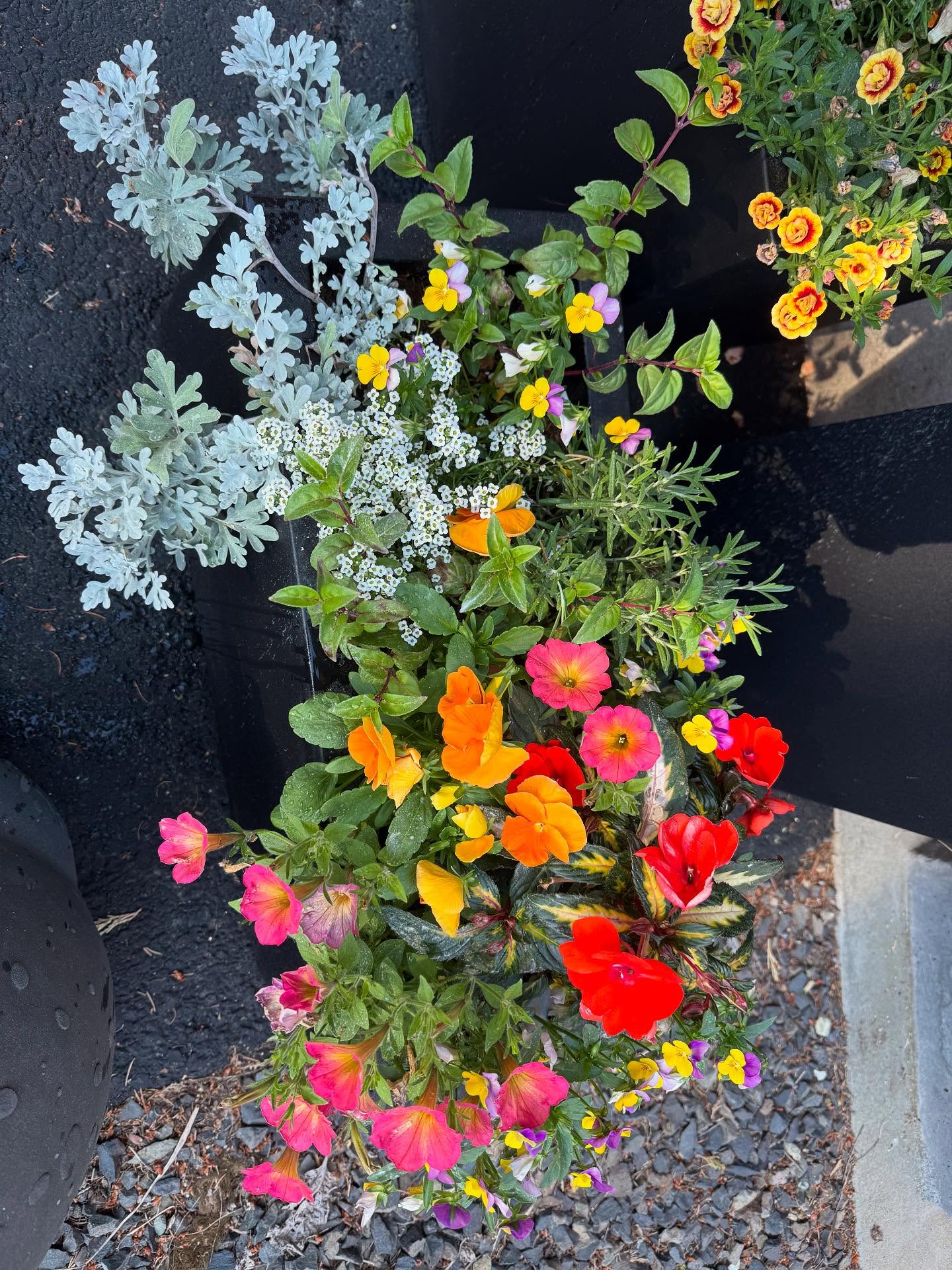 4 weeks after install 🥰🥰🥰