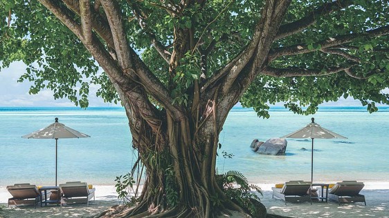 Nestled around a sacred monk’s cave, Kamalaya Koh Samui offers a path to balance in a lush, tropical oasis. Serene jungle and ocean vistas, personalized wellness programs, restorative spa therapies and nourishing cuisine create the ultimate reset. #Kamalaya #WellnessRetreat #Thailand #VirtuosoTravel #KohSamui