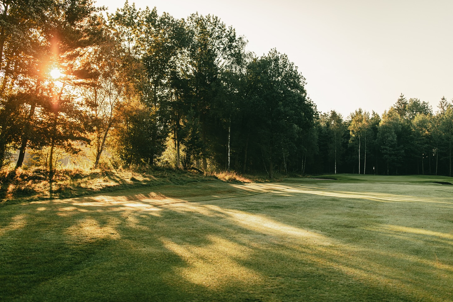 Impressionen vom Golfplatz.
#golf #vechta #golfplatz #golfimnorden #golfphotography #golflife #golfdeutschland #golfcourse #golfclub #oldenburgermünsterland