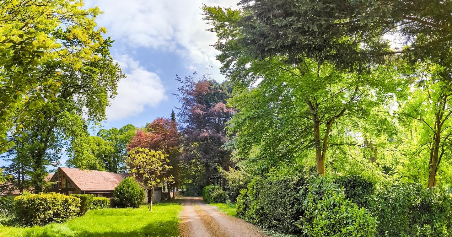 Our eagerly anticipated newsletter went out today, and it’s all about how you can get involved with some of our projects. We have a long and varied list of jobs that need doing and are very grateful to anyone who can lend us their skills, advice and time to help us tick things off. Tasks range from pruning, to upholstery, to office support so no matter how niche your area of interest or expertise, please do let us know. And, so you don’t miss the next one, make sure to sign up to our newsletter! (Link in bio)