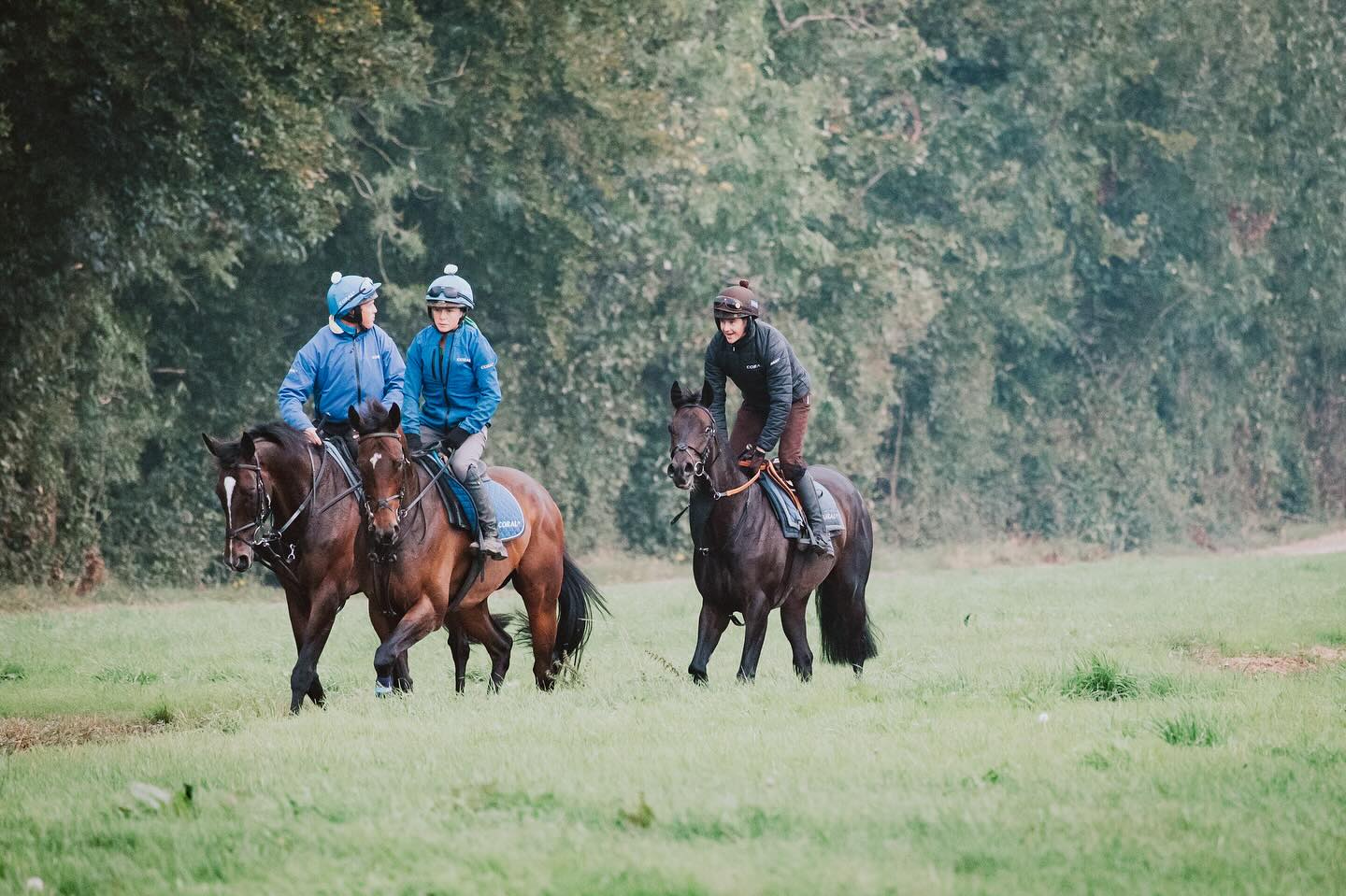 🌟 JOB OPPORTUNITY 🌟
Looking for Full & Part time staff to join our team. Job would include riding out, grooming and general yard duties, also the chance to go racing.
Please contact 07969659955 if interested