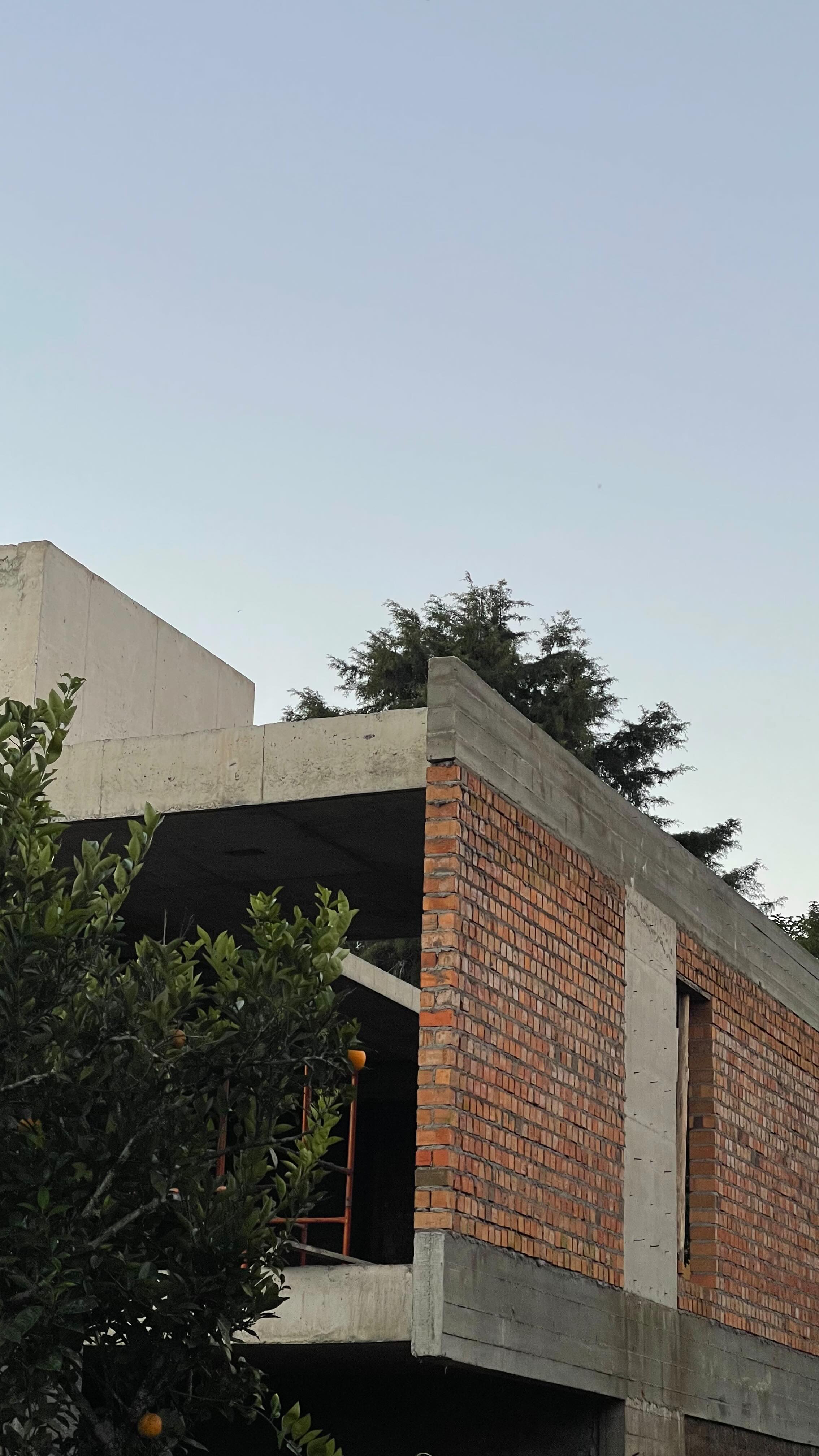 Casa da Saudade, em construção.
#galeria733 #architecture #casabrasileira #brazilianarchitects #archlovers #concretoaparente #archdaily #casas #diseño
contato@galeria733.com.br
____________________________________________
GALERIA 733