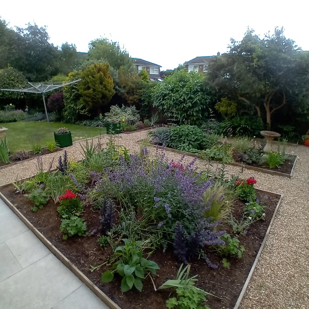 ...the garden has been replanted, retaining some of the existing plants, and now feels more open and inviting.