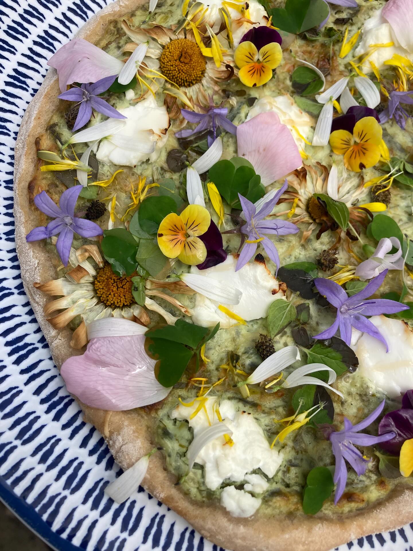 If you’re in need of inspiration for dinner or if you’re having friends over, then here you go - garden pizza!
Sourdough pizza base with nettles, 3 cornered leek, oregano and Greek yoghurt combined as a green sauce, then topped with goat’s cheese and ox eye daisies, then baked. When cooked, dress it with any edible flowers and herbs. I’ve used campanula, heartsease, wood sorrel and rose petals. Recipe coming soon!
#foraging #forager #foraged #wildfood #foodinspiration #food #pizza #homecooking #baking #summer #edibleflowers